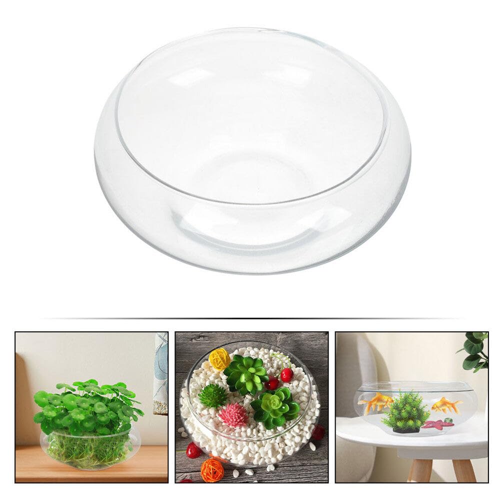 Glass Bubble Bowl - Wide Mouth Flower Vase Clear Bubble Planter Terrarium Aquatic Plant Pot Shallow Fish Tank for Centerpiece Hydroponic Succulent