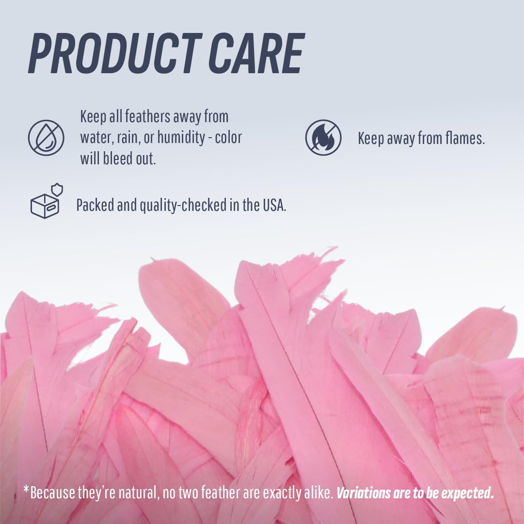Schuman Feathers Baby Pink Coque Tail Feathers 30 Pack (10-12 Inch) – Natural Rooster Feathers for Crafts, Costumes, Decor, DIY, Halloween, Mardi Gras – Packed in USA, U.S. Quality Control