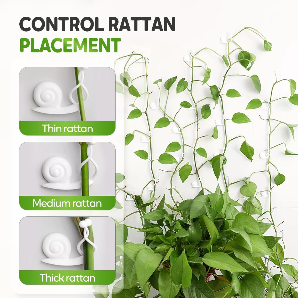 Pothos Plant Fixer, Plant Climbing Wall Fixture Clips, Vegetable Plastic Clip, Garden Self Strong Adhesive Hook, Grape Vine for Indoor Outdoor Traction Wire Invisible Clip Decoration (30, White)