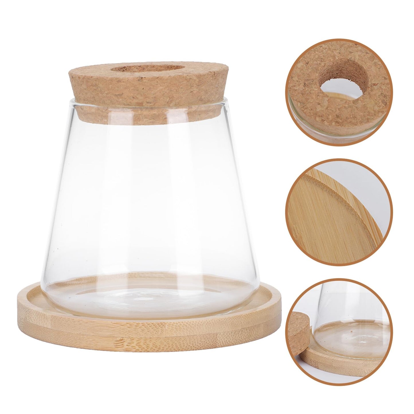 Beaupretty Hydroponic Glass Vase with Wooden Stand, 1-Set Ecological Bottle for Plant Propagation, Home and Office Gardening Terrarium Planter
