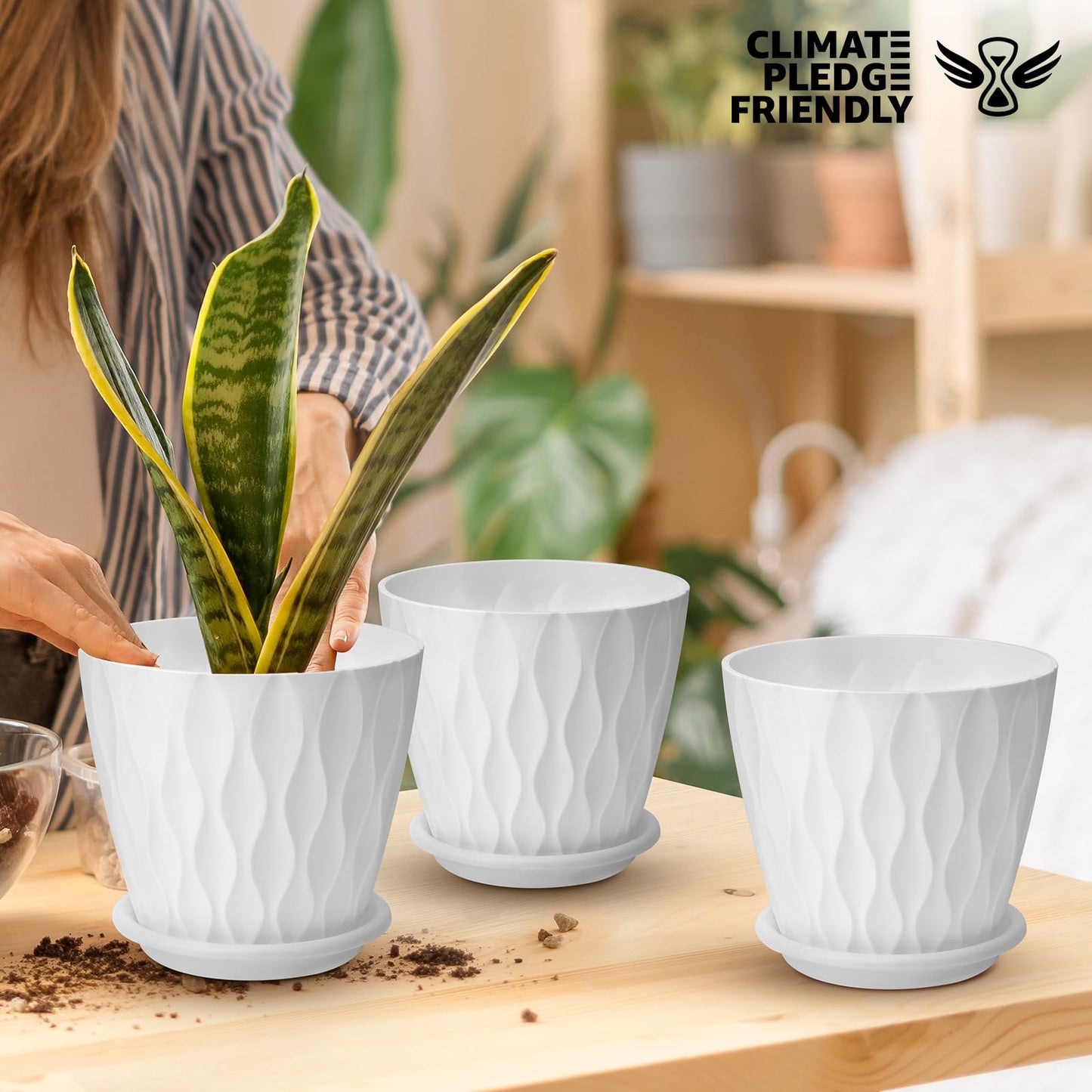 YNNICO 6 inch Plant Pots, 5 Pack Flower Pots Outdoor Indoor, Planters with Drainage Hole and Tray Saucer(White