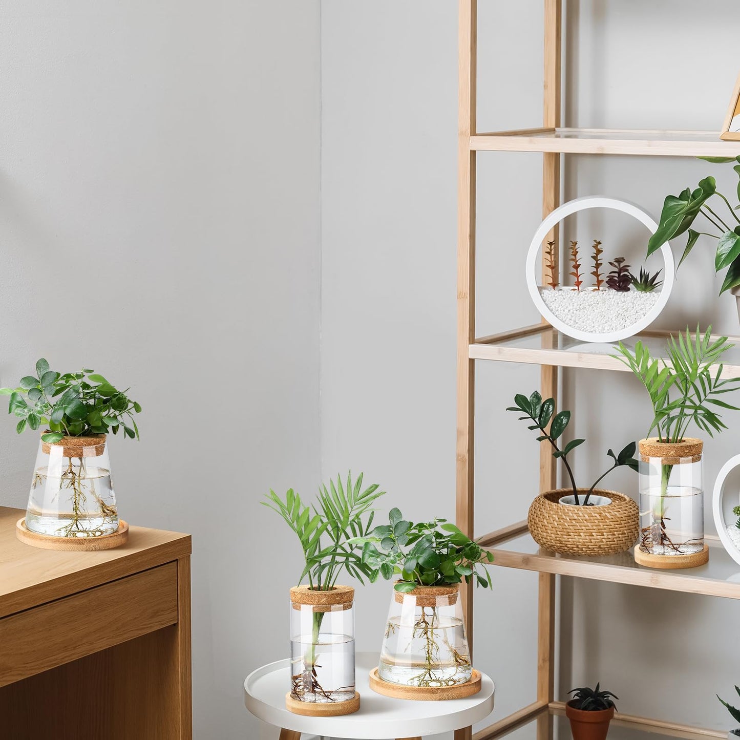 Layhit 4 Pcs Plants Propagation Stations vases Glass Planters with Wooden Lid and Bamboo Stand for Hydroponic Plants Gardening Gifts for Women Mom Home Office Tabletop Decoration(Stylish Style)