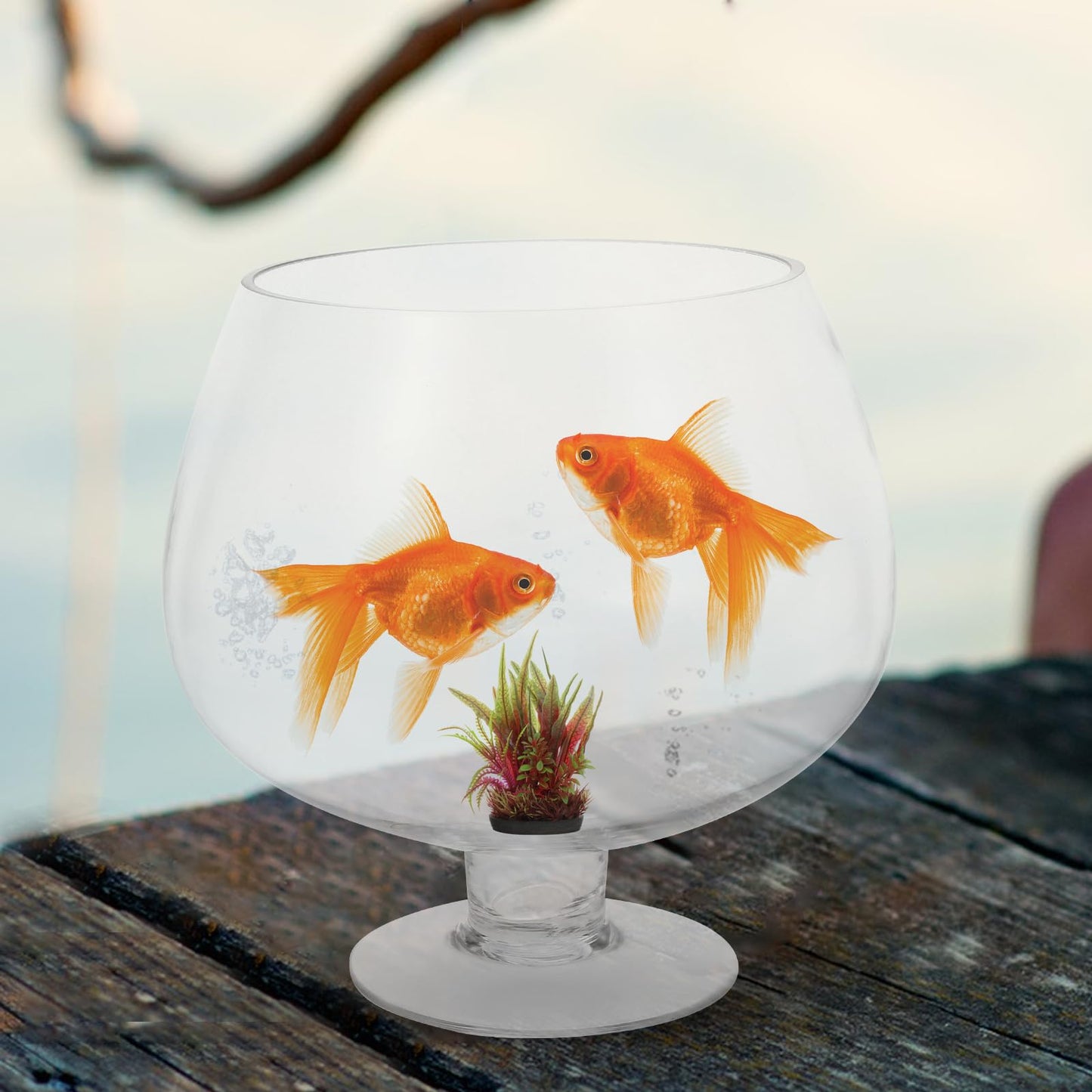 GANAZONO Clear Bubble Bowl Glass Fish Bowl Terrarium Globe Flower Vase Hydroponic Vase Goblet Beer Glass Centerpiece for Home Office Wedding Party Tabletop Decor 6.68inches