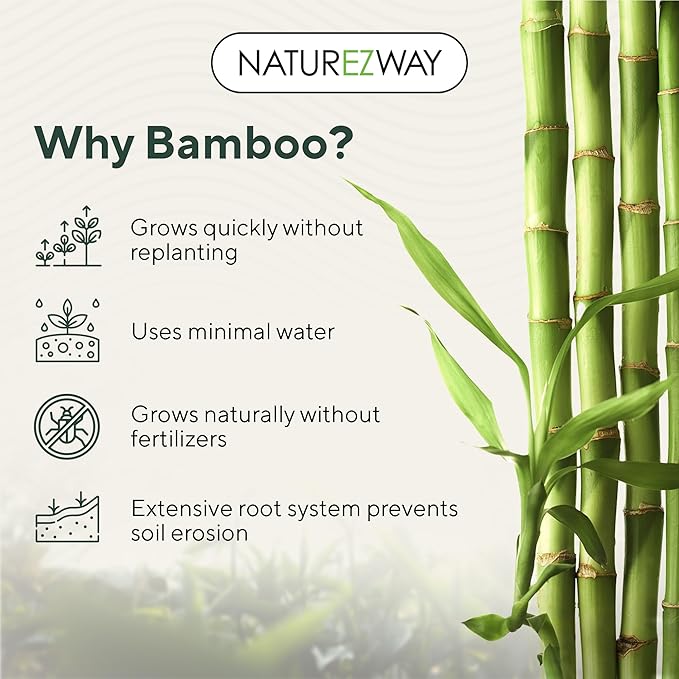 NatureZway Bamboo Toilet Paper – 24 Pack | Ultra Soft, Eco-Friendly, 2-Ply, Tree-Free, Septic & RV Safe | 100% Bamboo Pulp, Strong & Clog-Free Bath Tissue