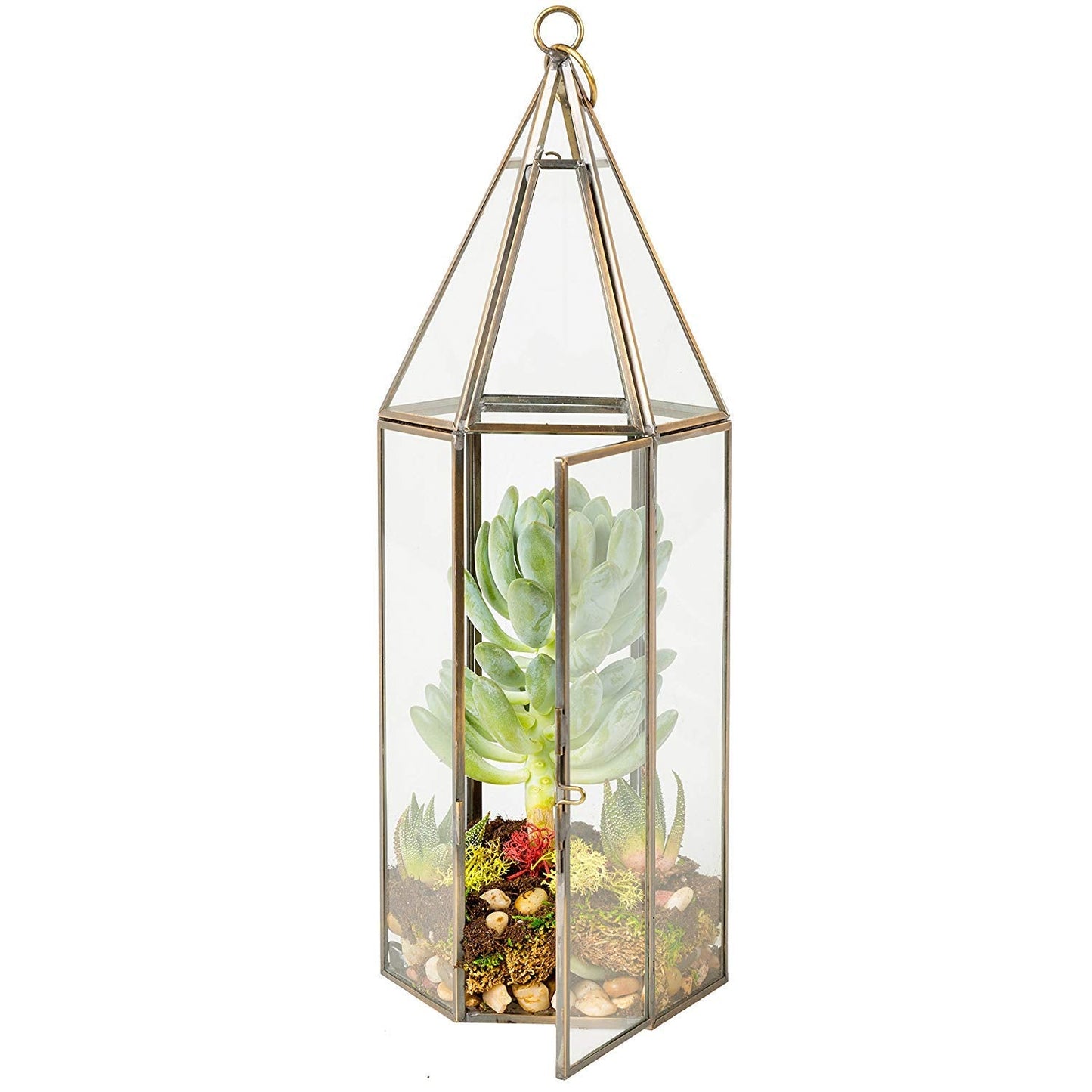 D'Eco Glass Geometric Plant Terrarium (5x5x14) - Indoor Tabletop Bronze Tall Hexagon Planter - Succulents, Air Plants, Moss - Home Garden Office Decor - Great Holiday (Terrarium Only)