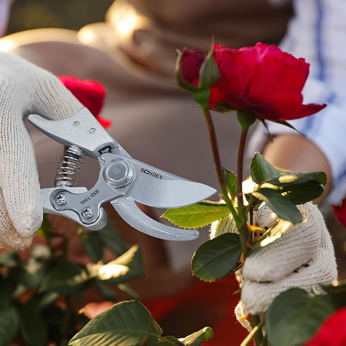 BOOSDEN Bypass Pruning Shears,8’’ Professional Garden Shears, Plant Garden Scissors with Sharp SK5 Steel Blades, Handheld Clippers for Cutting Flower, Trimming Plants, Bonsai, Fruits Picking