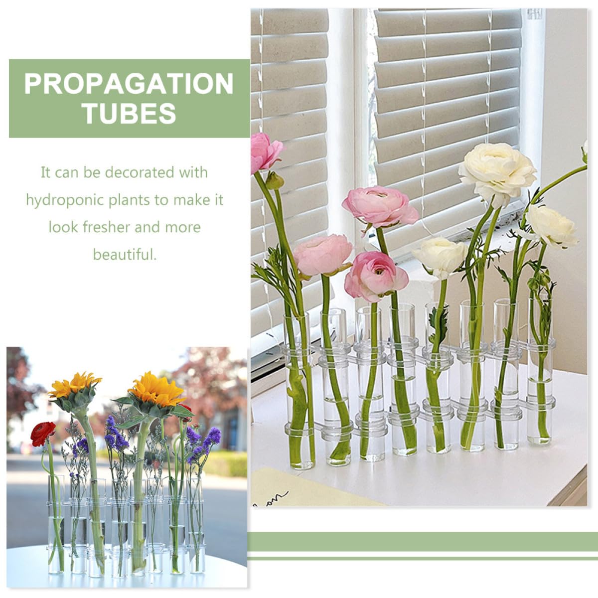 ibasenice Glass Test Tube Vases Set of 8 Large Hydroponic Propagation Tubes with Cleaning Brush for Indoor Plant Holder and Succulent Terrarium Home Décor