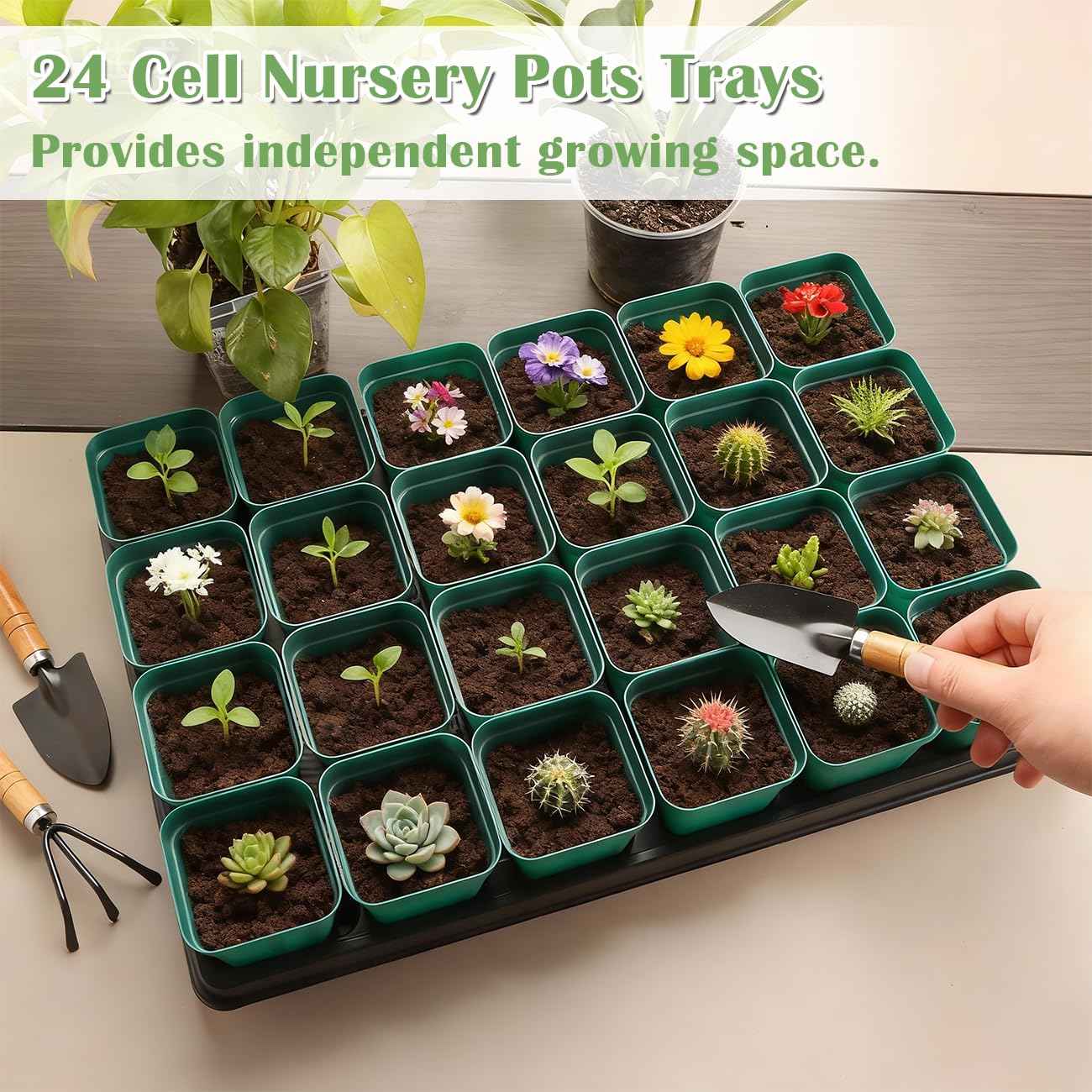 RooTrimmer 2.8 inch (7CM) Square Nursery Pots 120pcs (Green) and 24 Cell Nursery Pots Trays 5 Pack, Plastic Seedling Starter Tray with Drain Holes for Carrying and Holding Plant Pot(17"x11"x1.6")