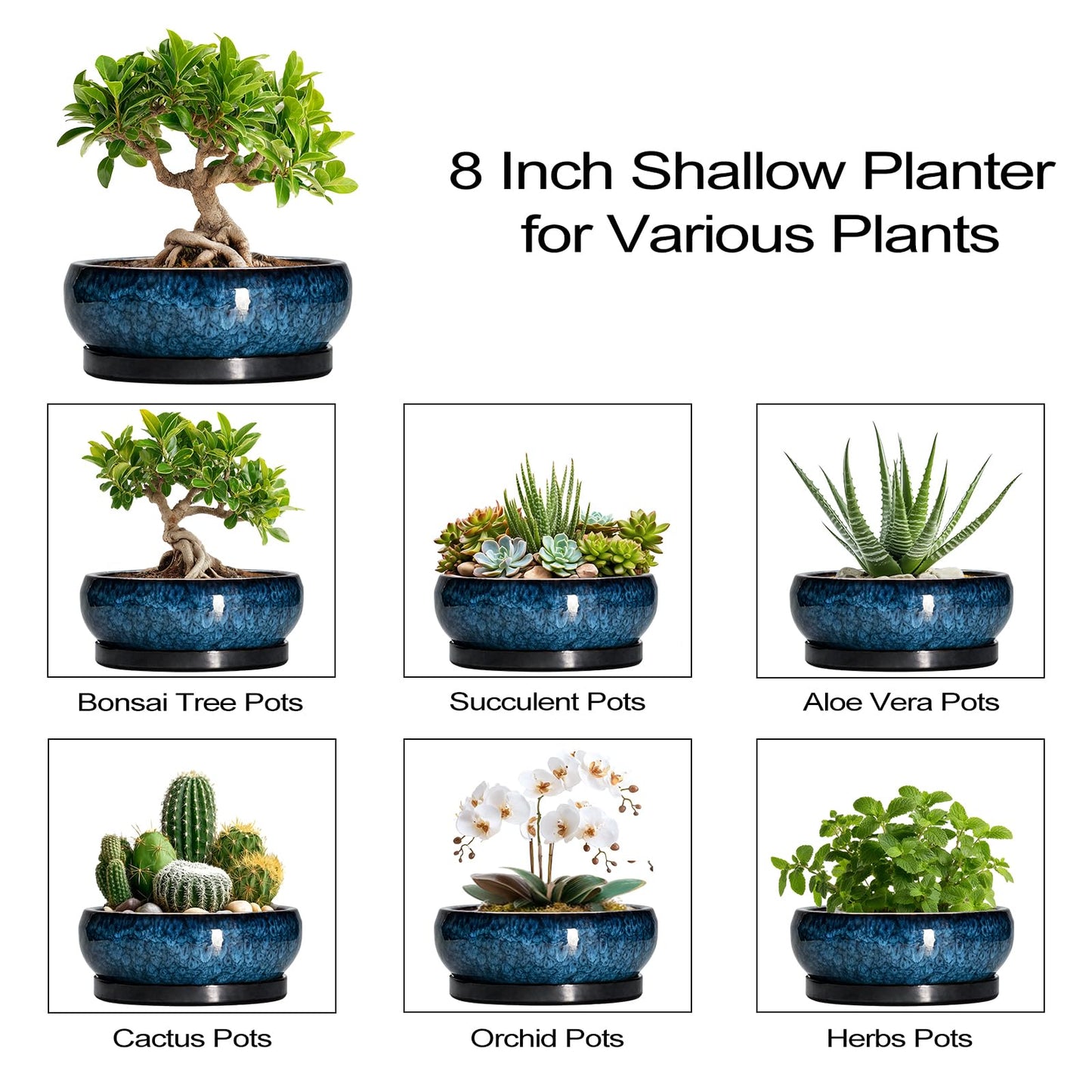 EPFamily Bonsai Pots 8 Inch - Ceramic Succulent Planter for Indoor Outdoor, Round Bonsai Planter with Drainage Hole and Saucer, Shallow Ceramic Planters Bowl, Patio Decor, Housewarming Gift, Blue
