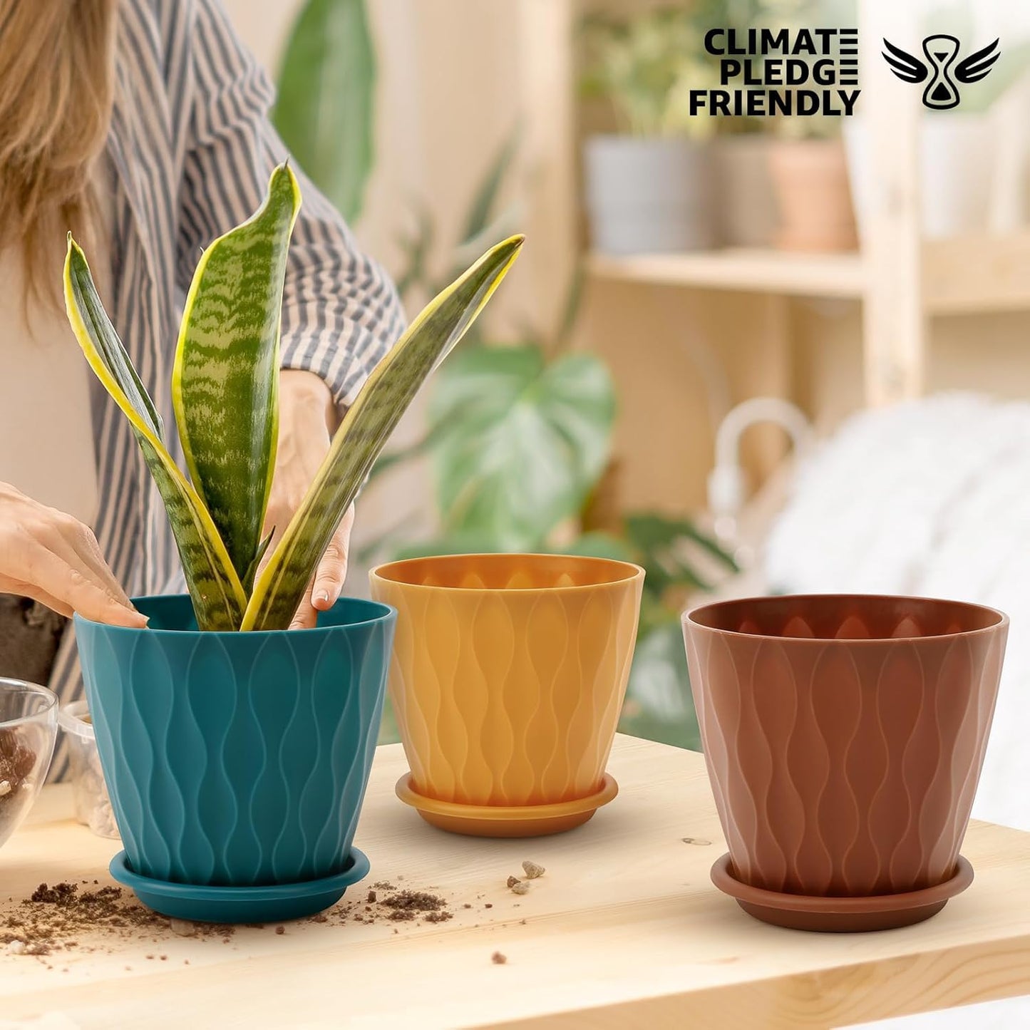 YNNICO 6 inch Plant Pots, 5 Pack Flower Pots Outdoor Indoor, Planters with Drainage Holes and Tray Saucers(Multicolor)