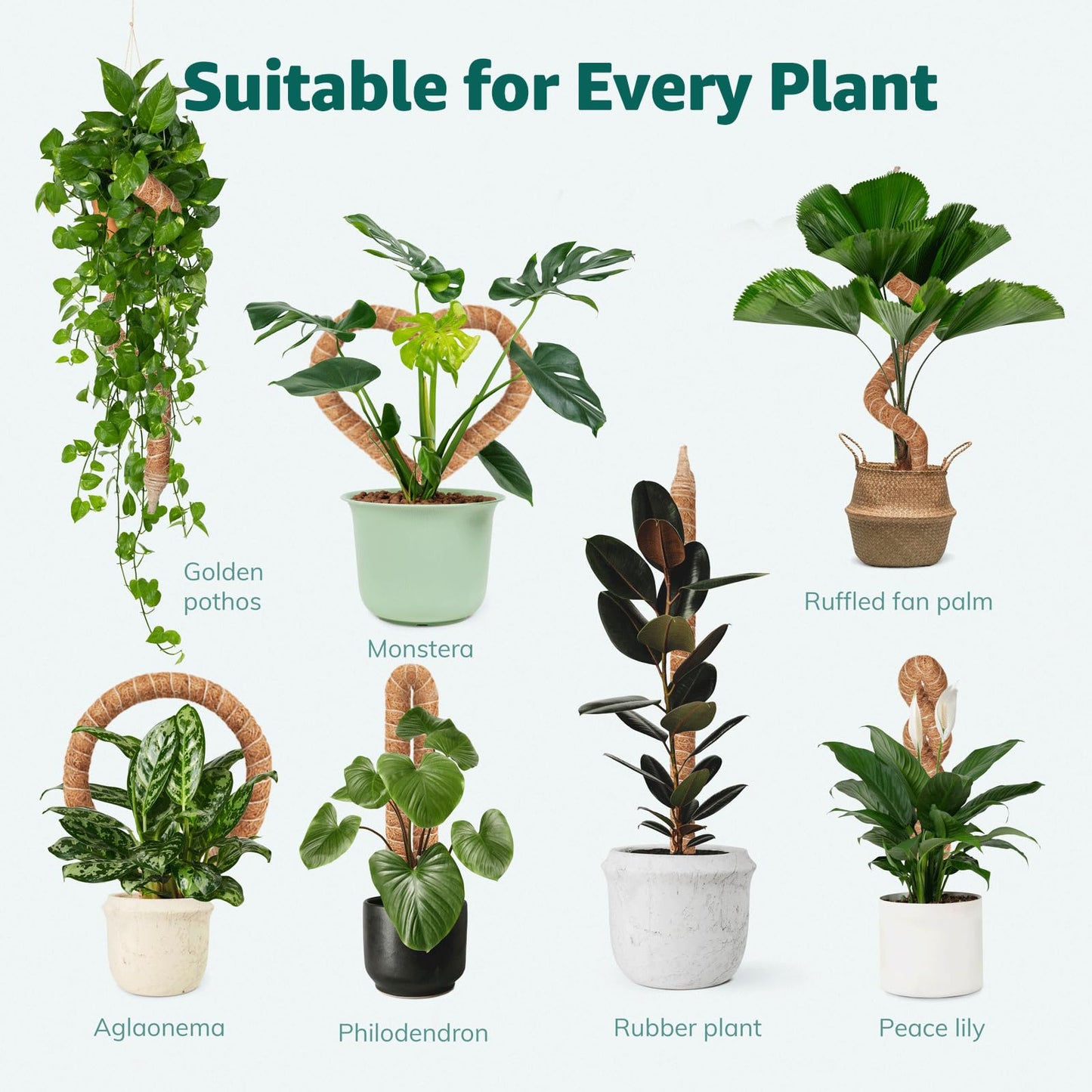 Vanut 3-Pack 48in Moss Poles for Monstera, Plant Supports for Indoor Plants, Pothos Vines, Philodendron, Fishbone Cactus & Indoor Tropical Houseplants, Made for Coco Coir