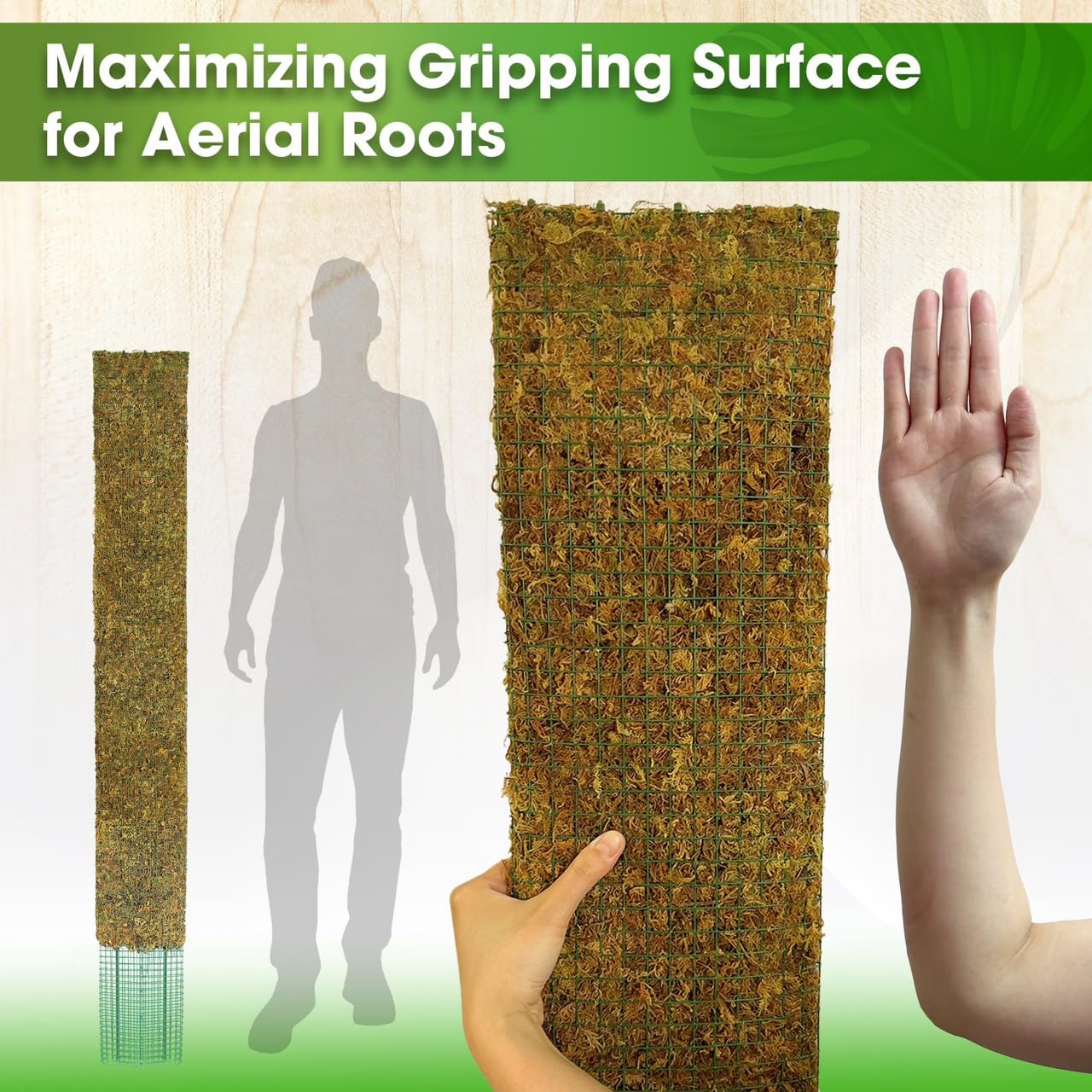 DUSPRO 59āā Flat Mesh Moss Poles for Climbing Plants Monstera Flat Stacks for Tall Plant with Real Moss Moss Pole for Indoor Plants Plant Stick Support Tall Indoor Plants Support Stakes (1pc., 59'')