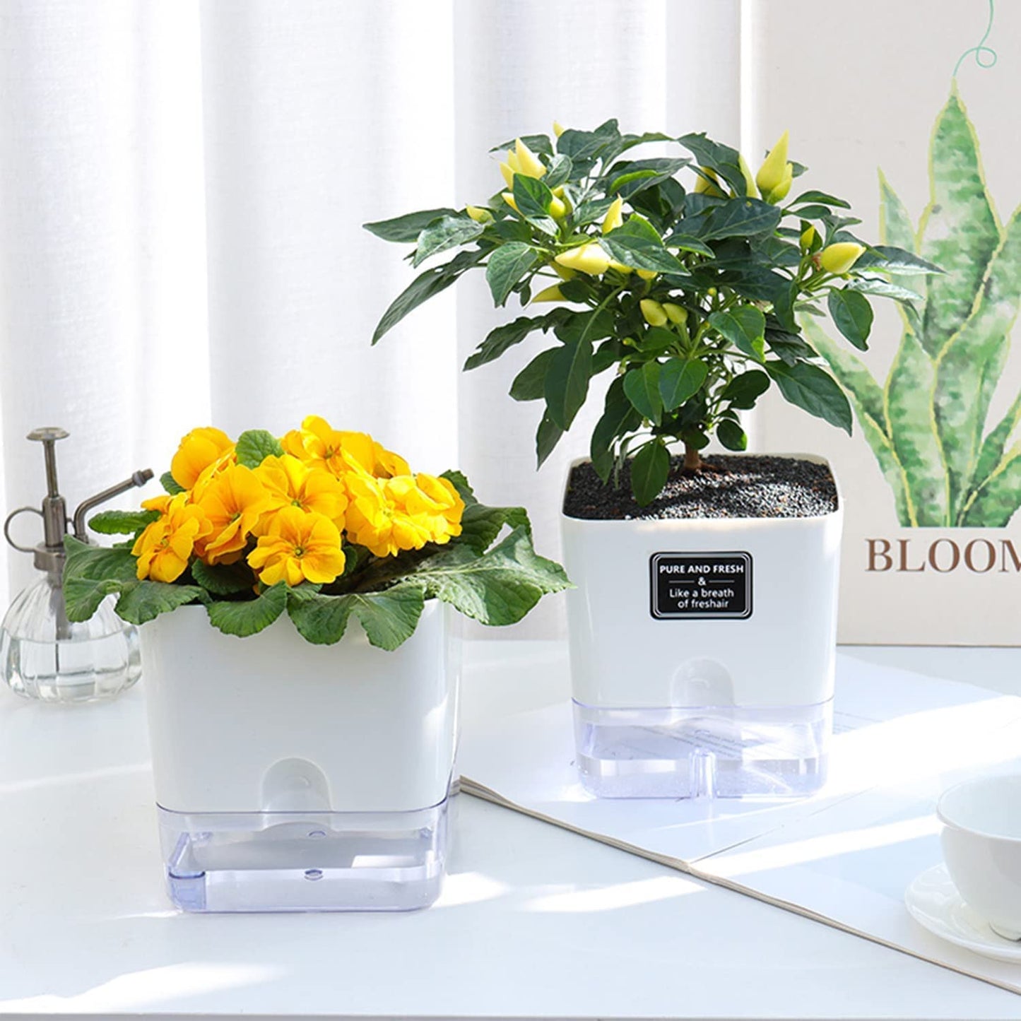 FAMZ Self Watering Planters 4 Pack,Self Watering Pots for Indoor Plants,Automatic Moisturizing,Transparent Square Flower Pot for Indoor and Outdoor Plants,Succulents,Violets,Ivy