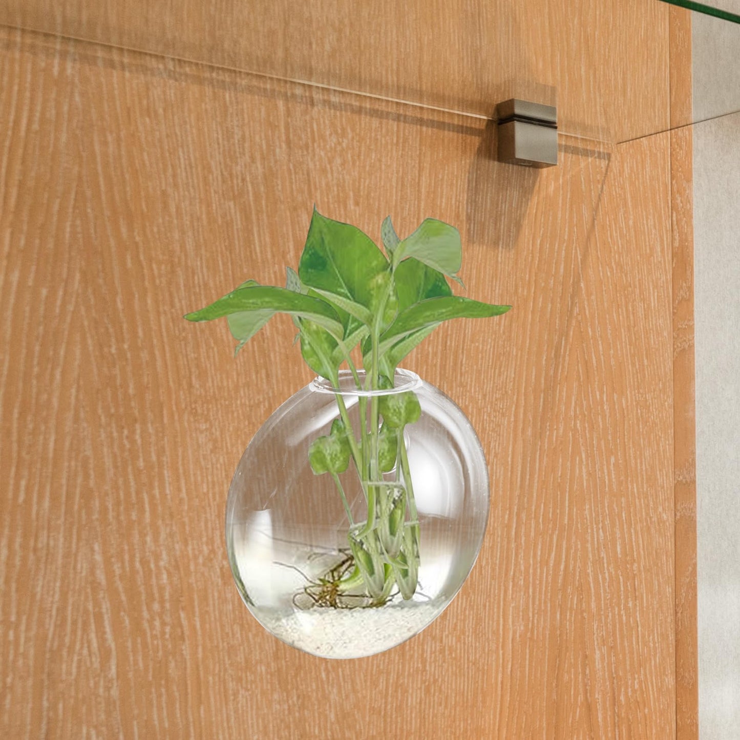 HOOWIFFY Wall Hanging Glass Vase Hydroponic Planter Terrarium Glass Pot for Indoor Plants Balcony Decor Home Gardening