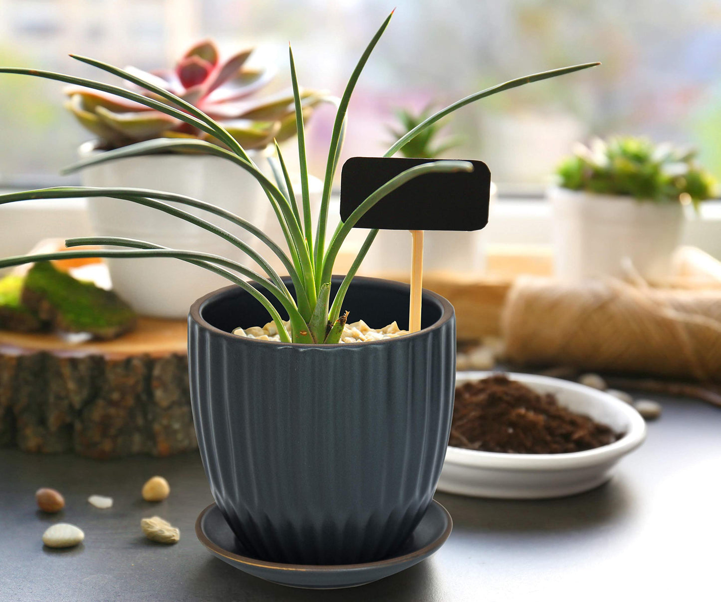 D'vine Dev Set of 2 Stoneware Planter Pot, Ceramic Pot with Drainage Hole and Saucers, 4.5 Inch 5.8 Inch, Charcoal Grey, 99-D-3