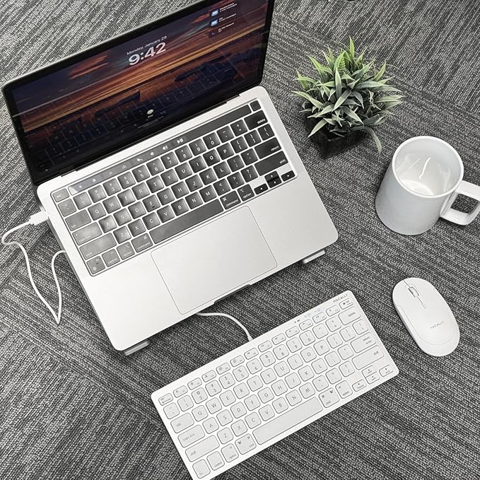 Macally Small USB C Keyboard - Plug & Play Compatible Wired Apple Keyboard for Mac mini, MacBook Pro/Air, iMac, iPad, Windows, Chromebook with USBC Port - Compact & Mini USB Type C - Silver