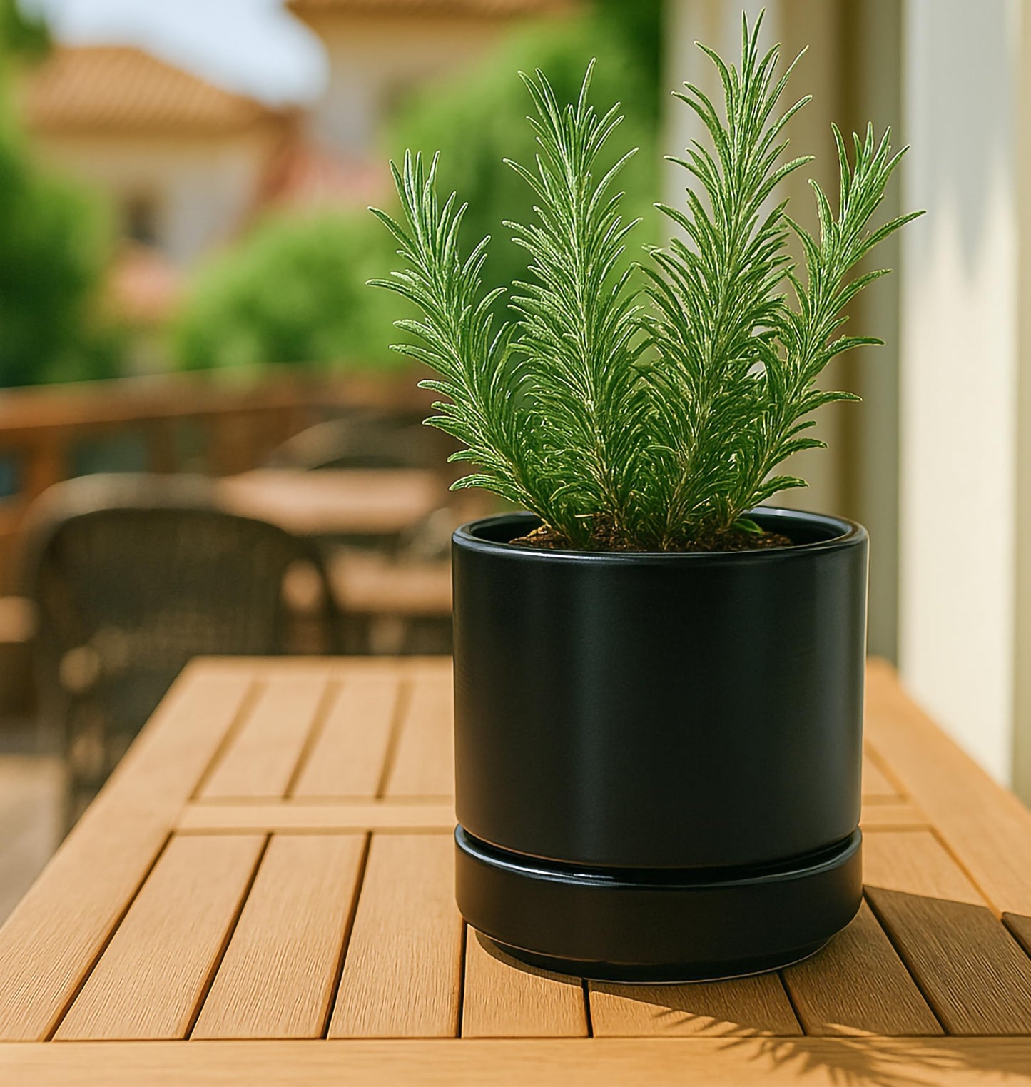 D'vine Dev 3.5 Inch & 4.7 Inch Ceramic Planter Pots for Plants with Drainage Hole and Saucer, X-Small Plant Pots Set, Black, 94-G-XS-2