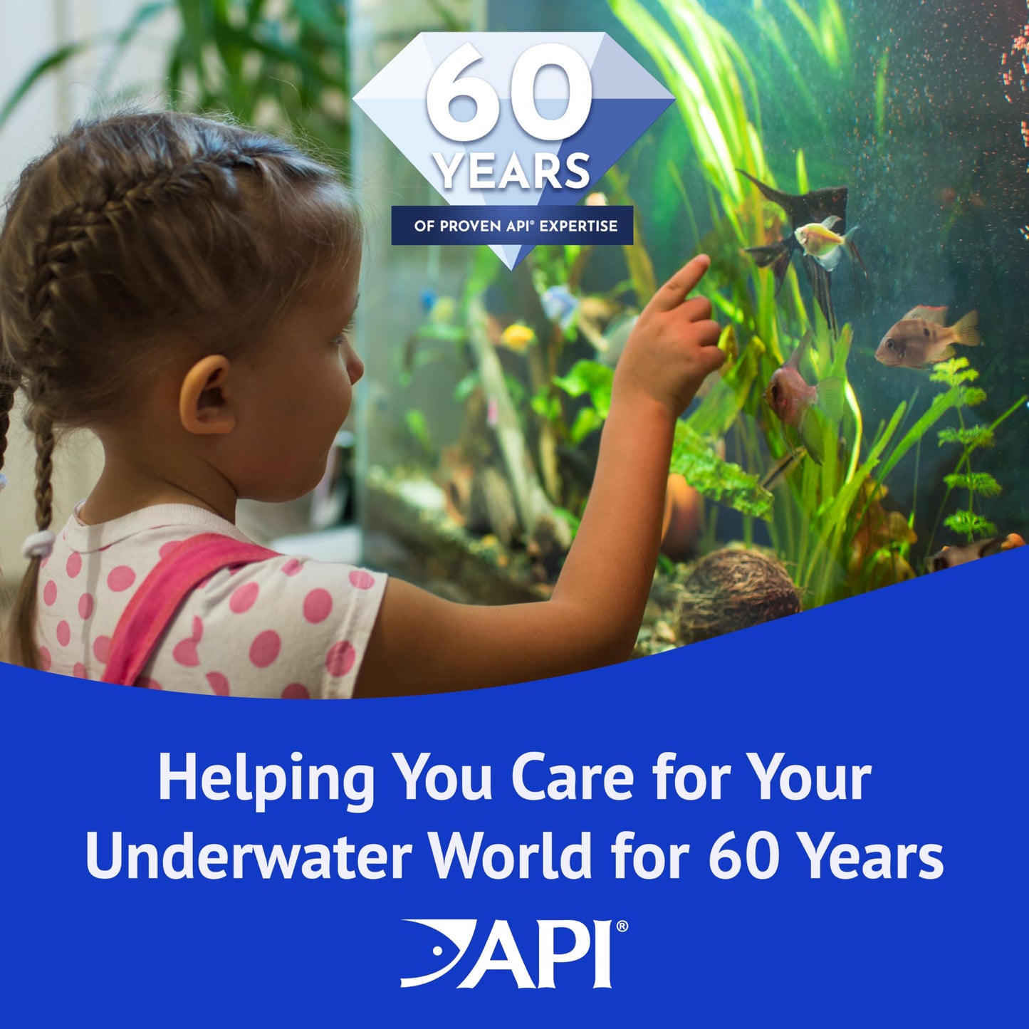 API POND ALGAEFIX (1 gallon) Pond Algae Control - Copper Free - Clean, Clear Water - Up to 38400 Gallons - Safe for Fish, Plants - Water Gardens, Fountains - Natural Active Ingredient - EPA-Registered