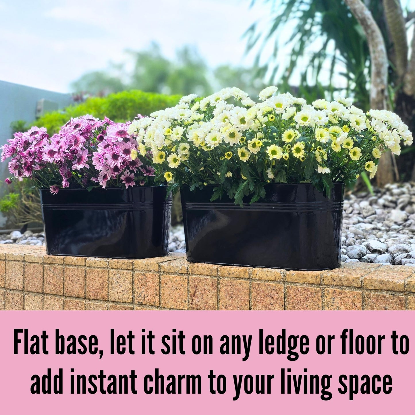 LaLaGreen Bundle- 2 Pack, 17 Inch + 6 Pack, 11.8 Inch Black Metal Pot Hanging Window Flower Box with Hook Modern Boho Style Decor Railings Fence Outdoor Patio Porch Balcony Flower Herb Buckets Garden