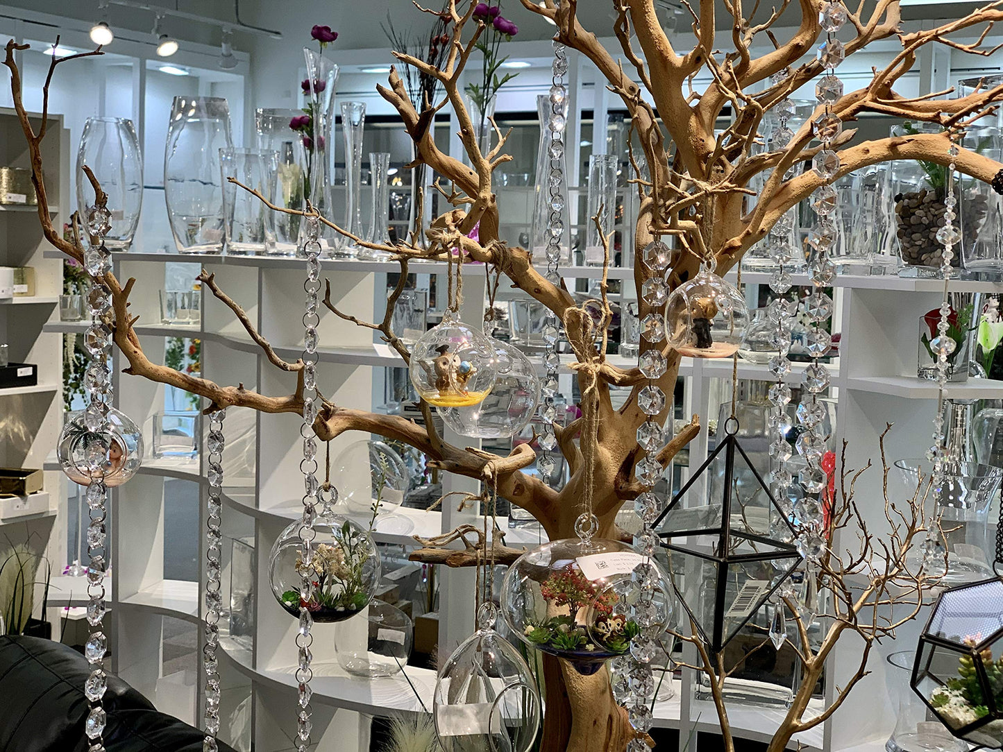 WGVI WGV Hanging Terrarium Globe, Width 6", Height 6.5", DIY Air Succulent Planter, Clear Glass Vase Orb with Flat Bottom, Candle Holder for Windowsill Outdoor Garden Decor, 1 Piece