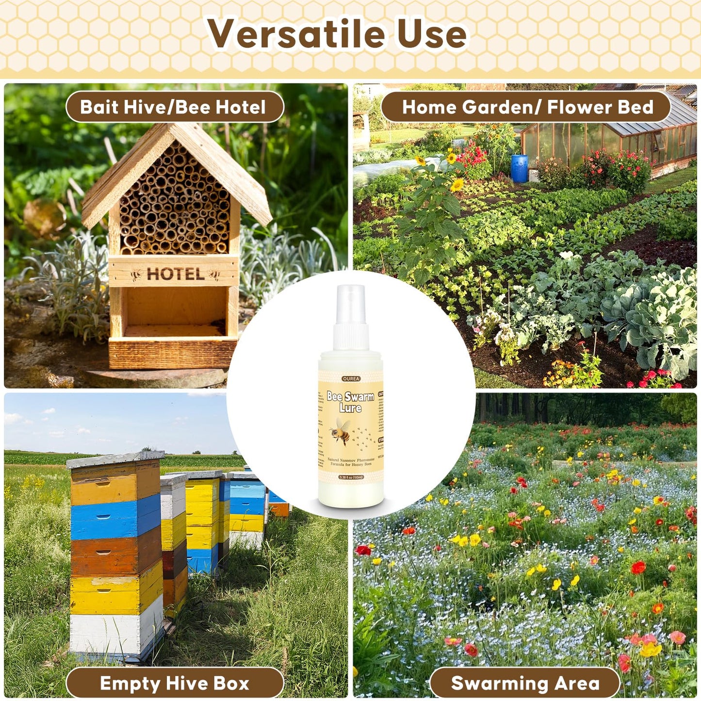 Beekeeping Hive Starter