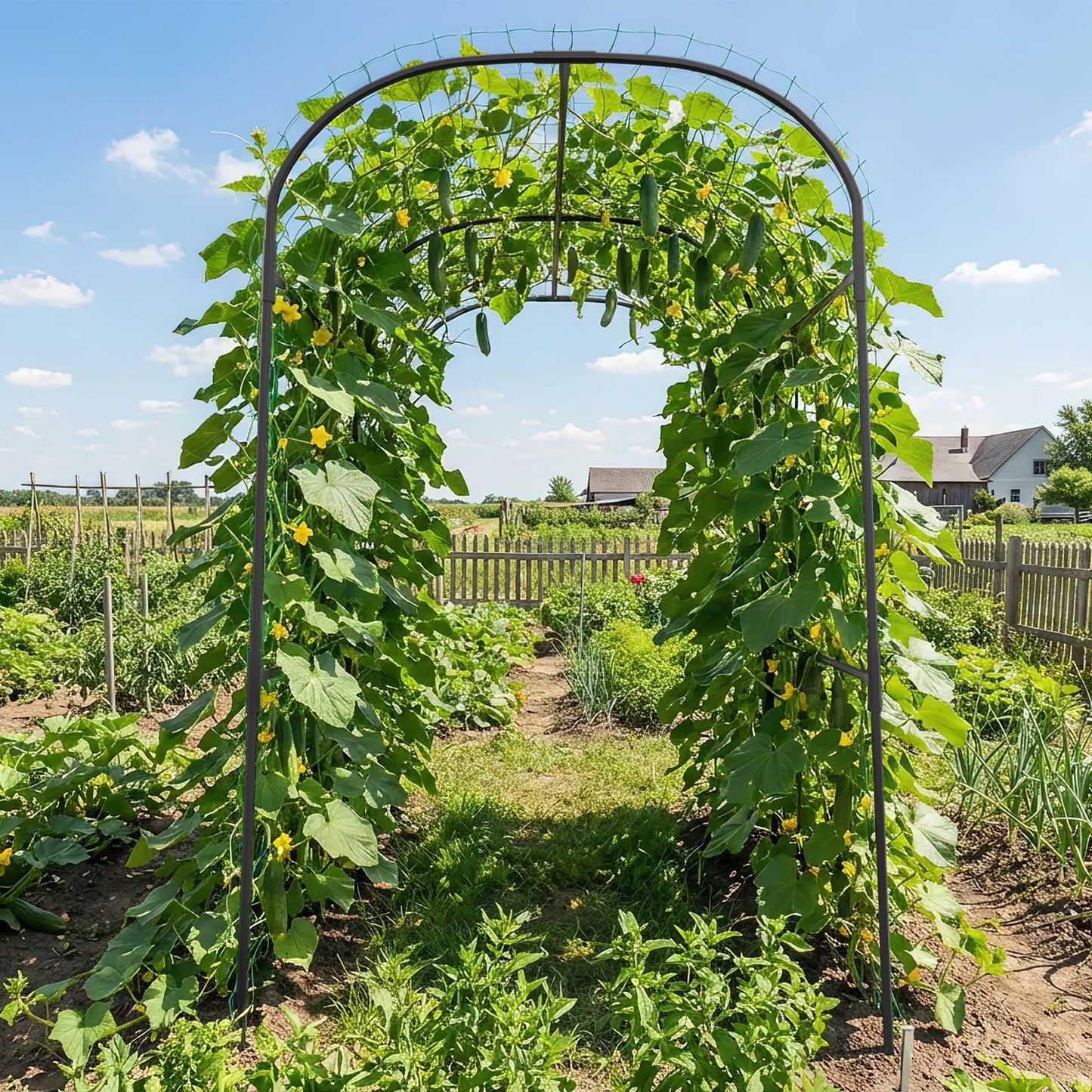 SUNYRISY Garden Arch Trellis for Climbing Plants Outdoor, 71" x 47" x 83" Metal Core Tall Archway Tunnel Plant Support for Cucumber Tomato Vine Flowers Vegetables Climbing Plants