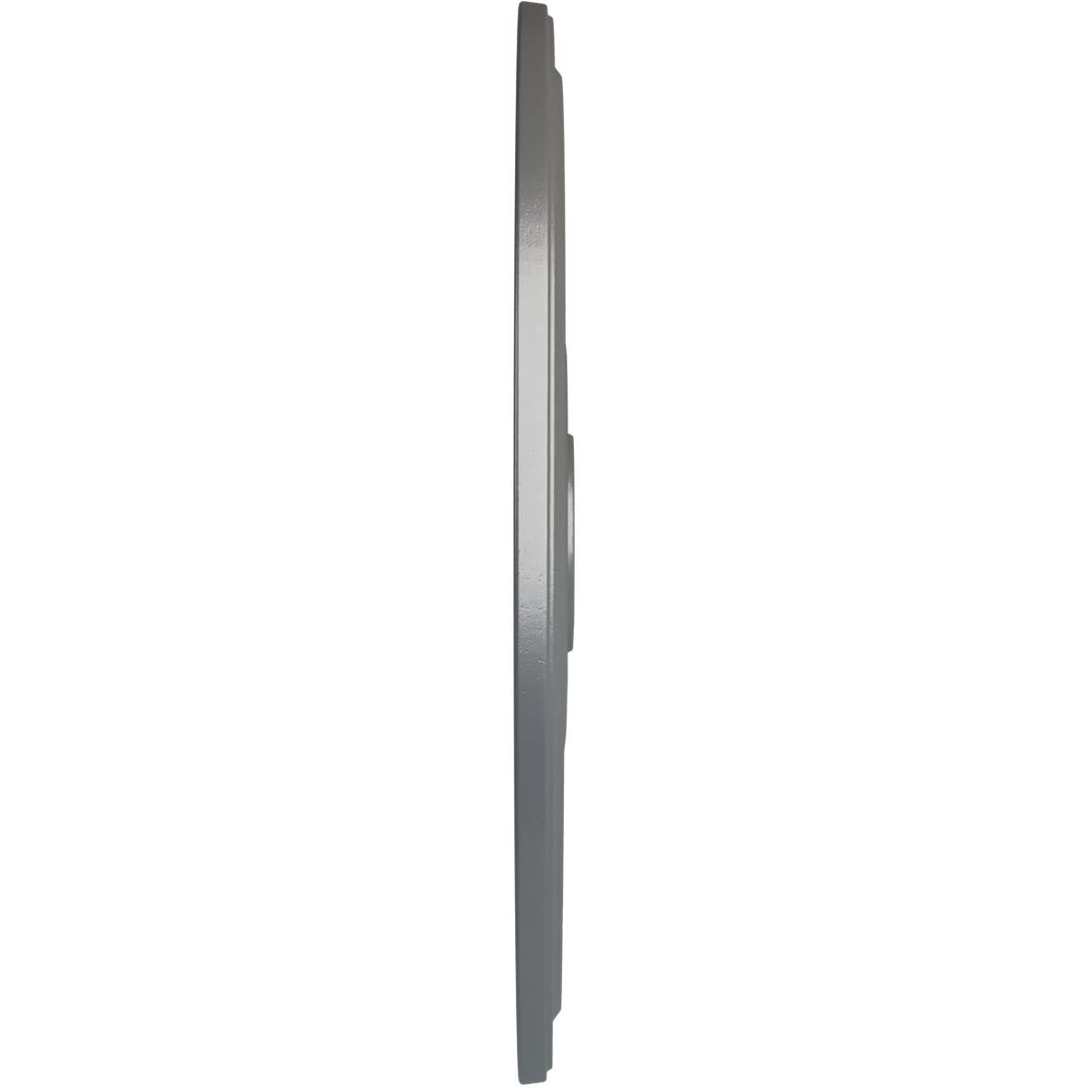 Ekena Millwork Cm24Disls Diane Ceiling Medallion, 24Od X 3 5/8Id X 1 1/4P (Fits Canopies Up To 6 1/4), Hand-Painted Silver