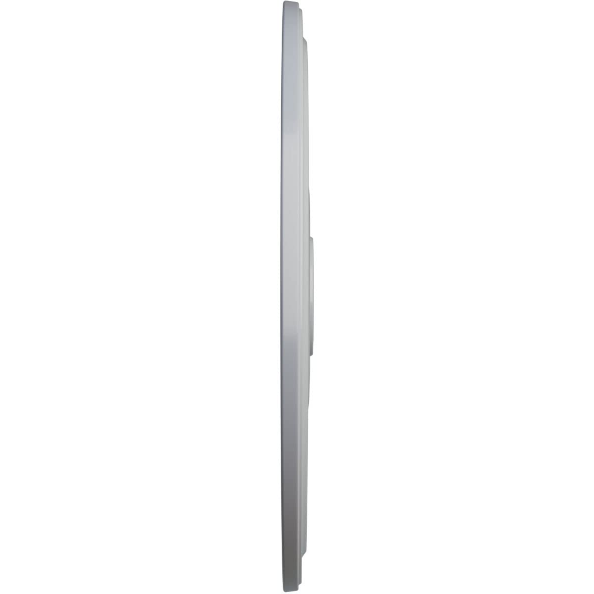 Ekena Millwork Cm24Difrf Diane Ceiling Medallion, 24Od X 3 5/8Id X 1 1/4P (Fits Canopies Up To 6 1/4), Hand-Painted Frost