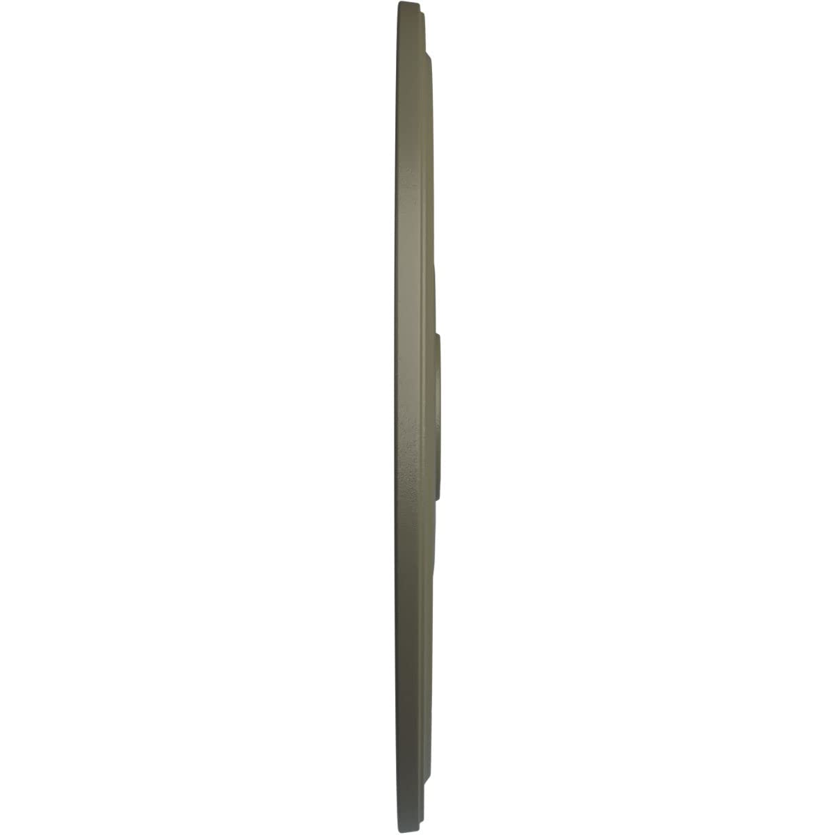 Ekena Millwork Cm24Dissf Diane Ceiling Medallion, 24Od X 3 5/8Id X 1 1/4P (Fits Canopies Up To 6 1/4), Hand-Painted Spartan Ston