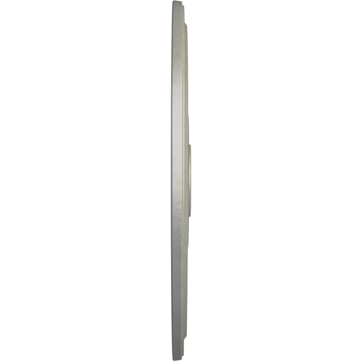 Ekena Millwork Cm24Difls Diane Ceiling Medallion, 24Od X 3 5/8Id X 1 1/4P (Fits Canopies Up To 6 1/4), Hand-Painted Flash Gold