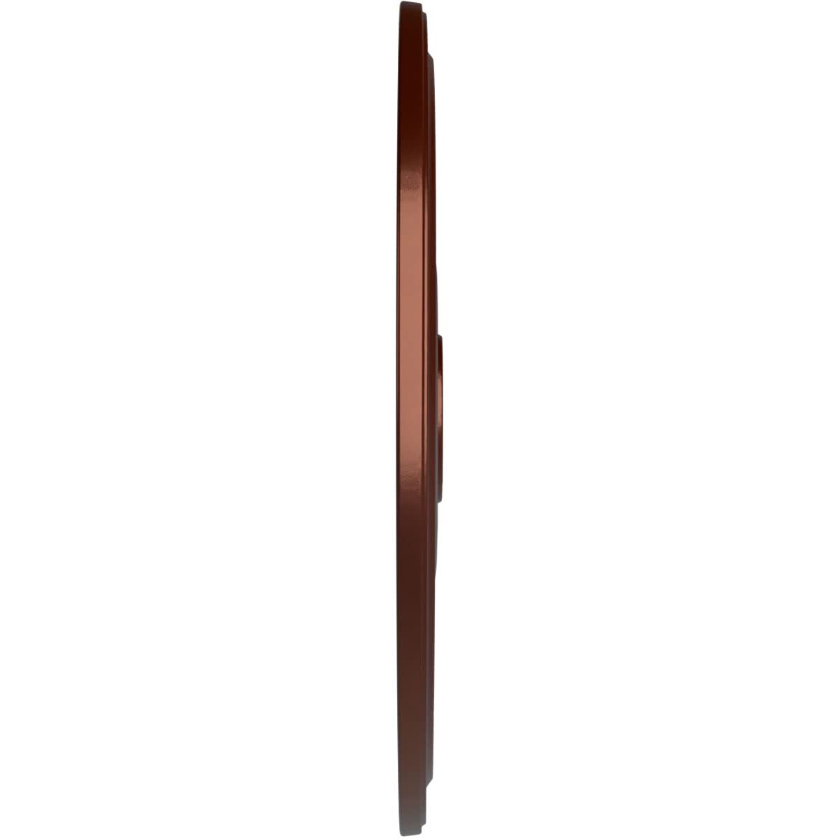 Ekena Millwork Cm24Diacs Diane Ceiling Medallion, 24Od X 3 5/8Id X 1 1/4P (Fits Canopies Up To 6 1/4), Hand-Painted Antique Copp