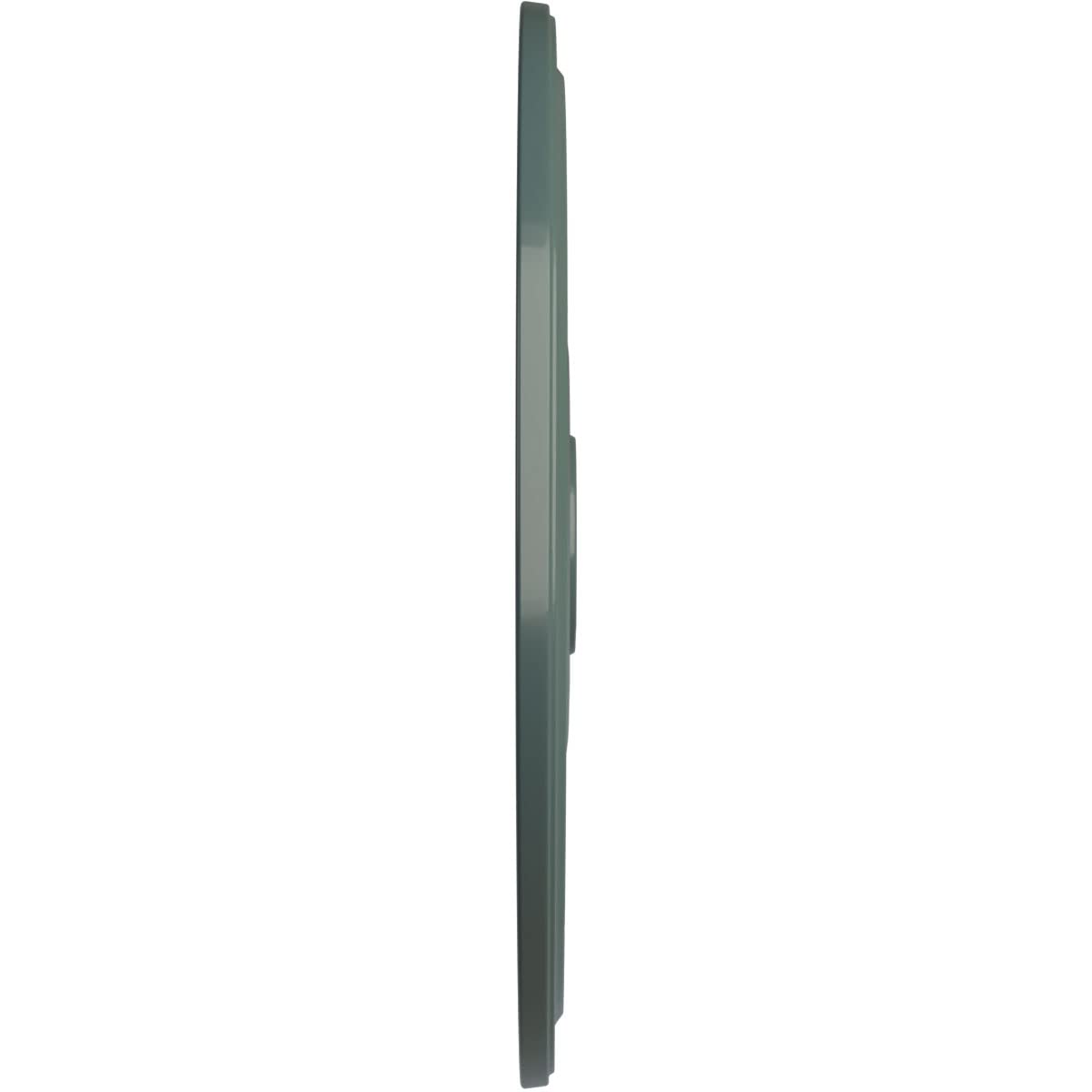 Ekena Millwork Cm24Dicbf Diane Ceiling Medallion, 24Od X 3 5/8Id X 1 1/4P (Fits Canopies Up To 6 1/4), Hand-Painted Cloud Burst