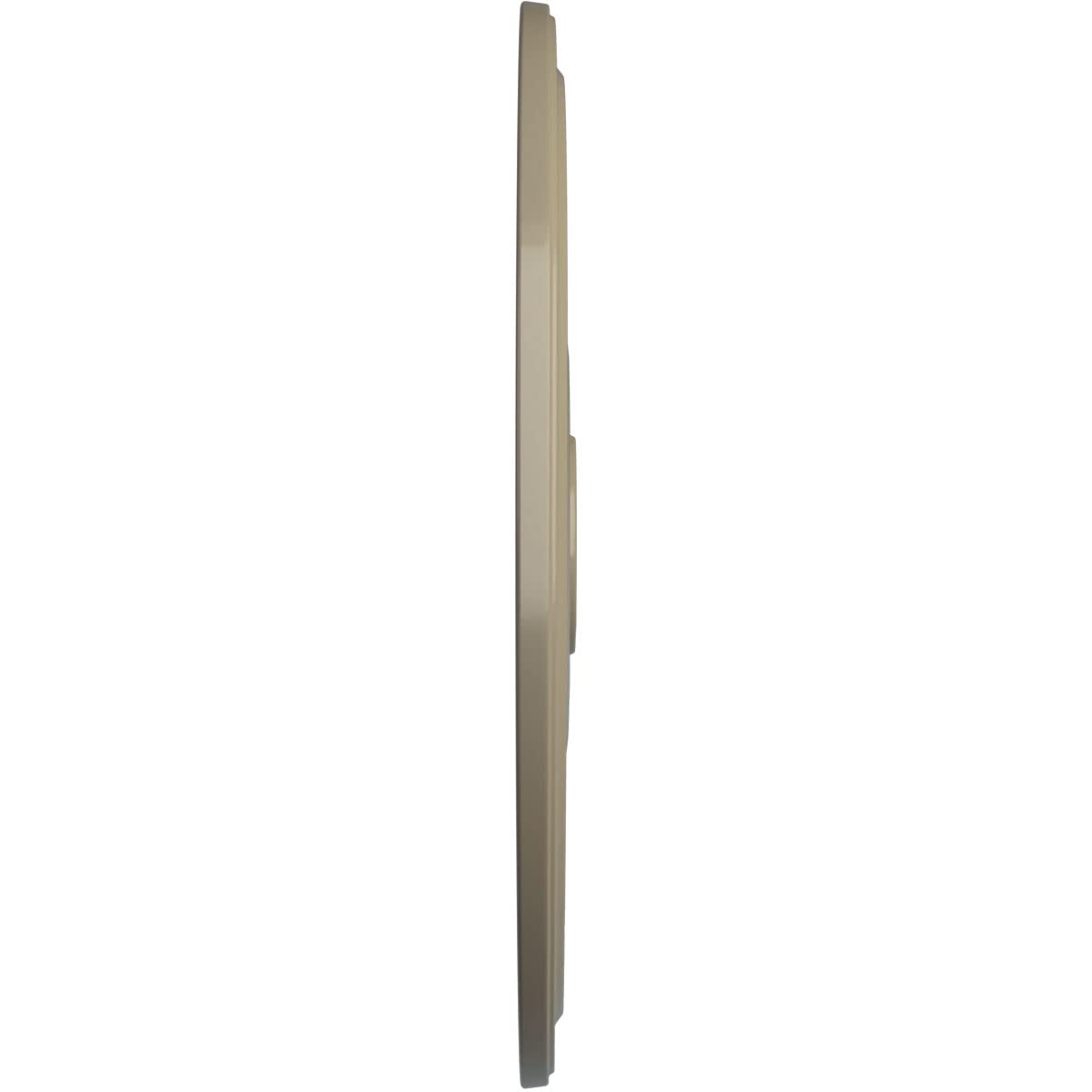 Ekena Millwork Cm24Digdf Diane Ceiling Medallion, 24Od X 3 5/8Id X 1 1/4P (Fits Canopies Up To 6 1/4), Hand-Painted Gobi Desert