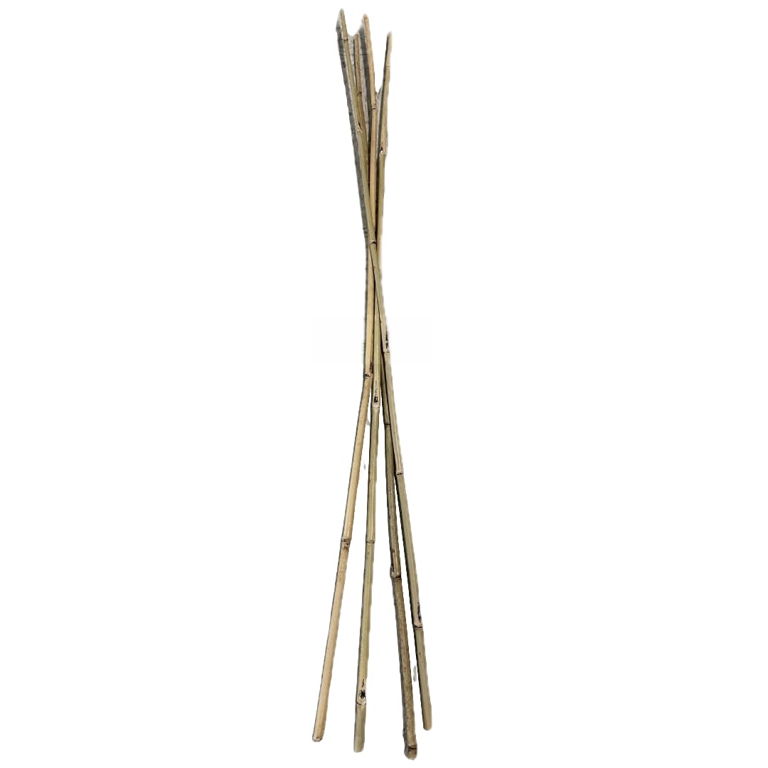 Farm Plastic Supply - Bamboo Garden Stakes - Bambo Sticks, Bamboo Plant Stakes for Outdoor Plants, Plant Support Stakes for Indoor Plants (7 Foot, 25)