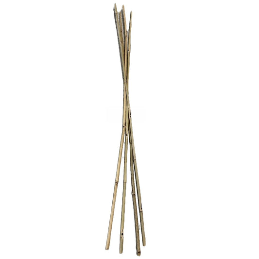 Farm Plastic Supply - Bamboo Garden Stakes - Bambo Sticks, Bamboo Plant Stakes for Outdoor Plants, Plant Support Stakes for Indoor Plants (7 Foot, 75)