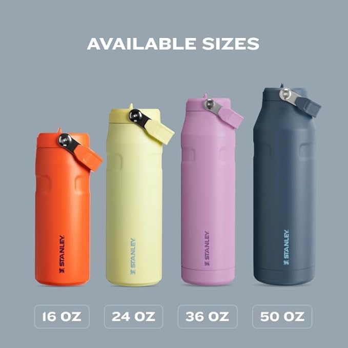 Stanley IceFlow Flip Straw 2.0 Water Bottle 24 oz | Built-In Straw for Travel and Sports | Lightweight and Leak Resistant | Insulated Stainless Steel | BPA-Free | Prickly Pear
