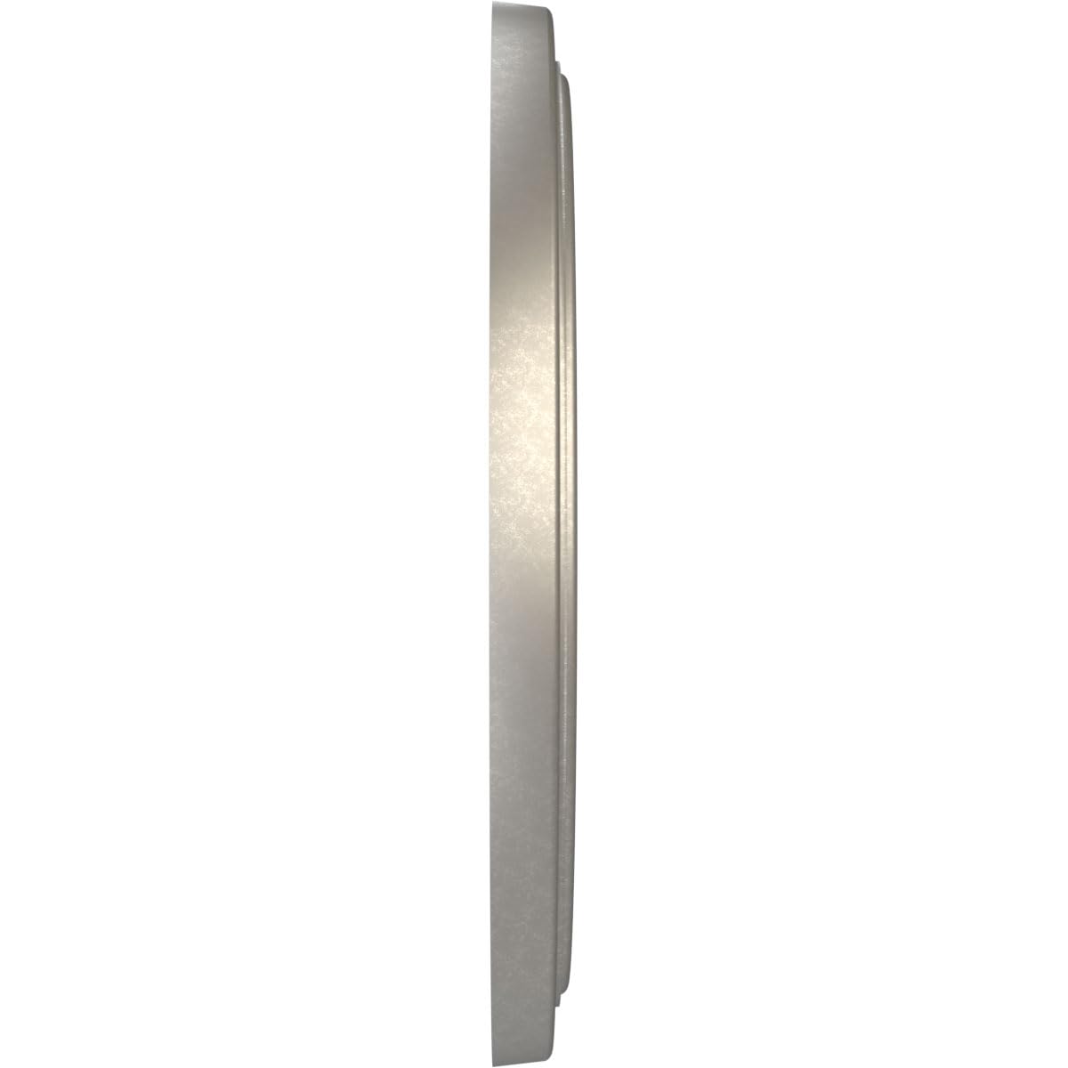 19Od X 3 1/2Id X 1 1/2P Traditional Thermoformed Pvc Ceiling Medallion (Fits Canopies Up To 11 1/2), Bright Coat Aluminum