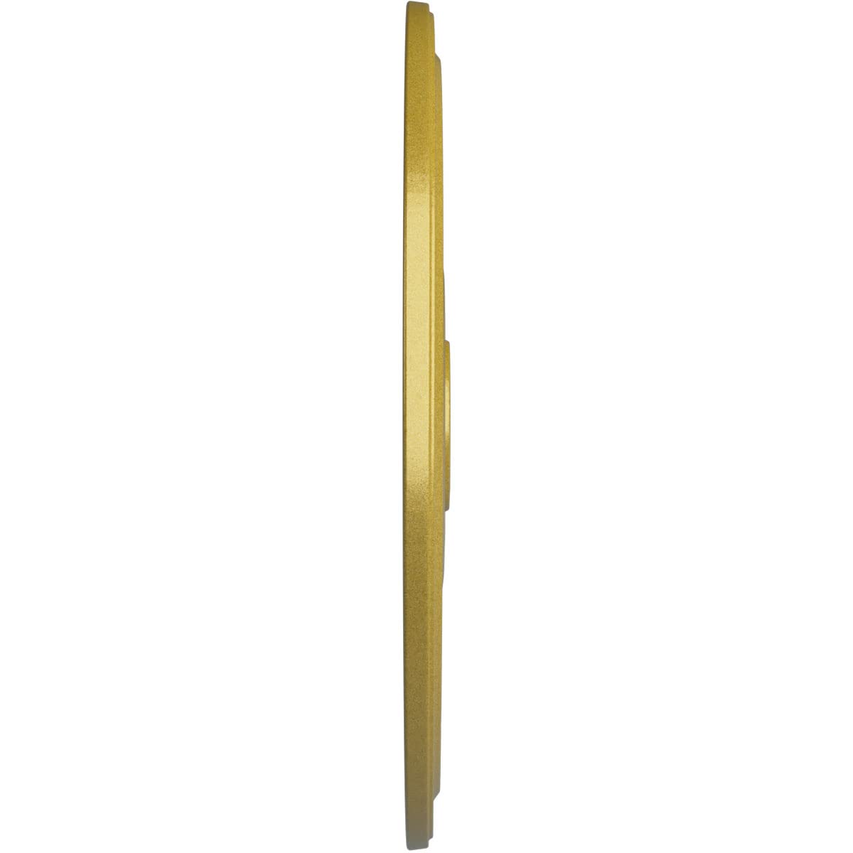 Ekena Millwork Cm24Dirgs Diane Ceiling Medallion, 24Od X 3 5/8Id X 1 1/4P (Fits Canopies Up To 6 1/4), Hand-Painted Rich Gold