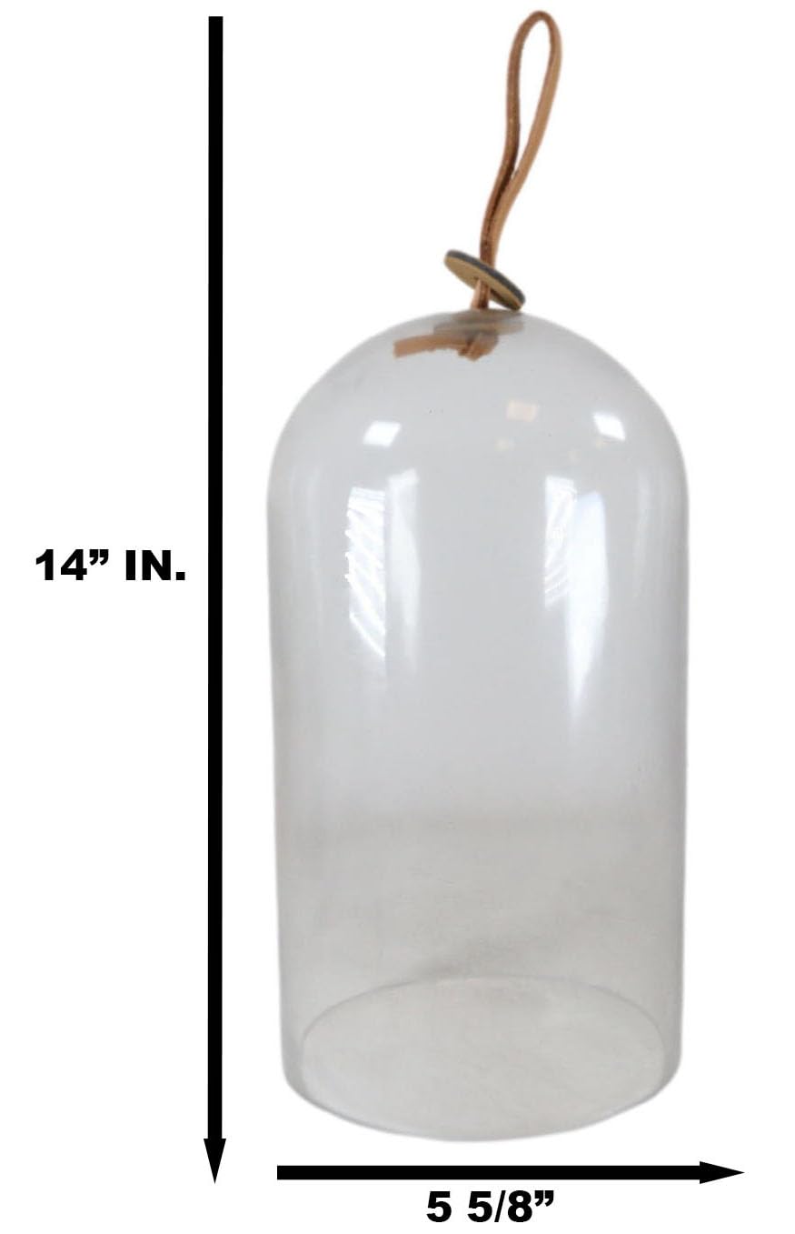 Ebros Gift Large 9.75" High Decorative Sleek Clear Glass Apothecary Cloche Bell Jar Centerpiece Dome Mouth Blown Glass Display Terrarium Case For Displaying Succulents Plants Sculpture Decors