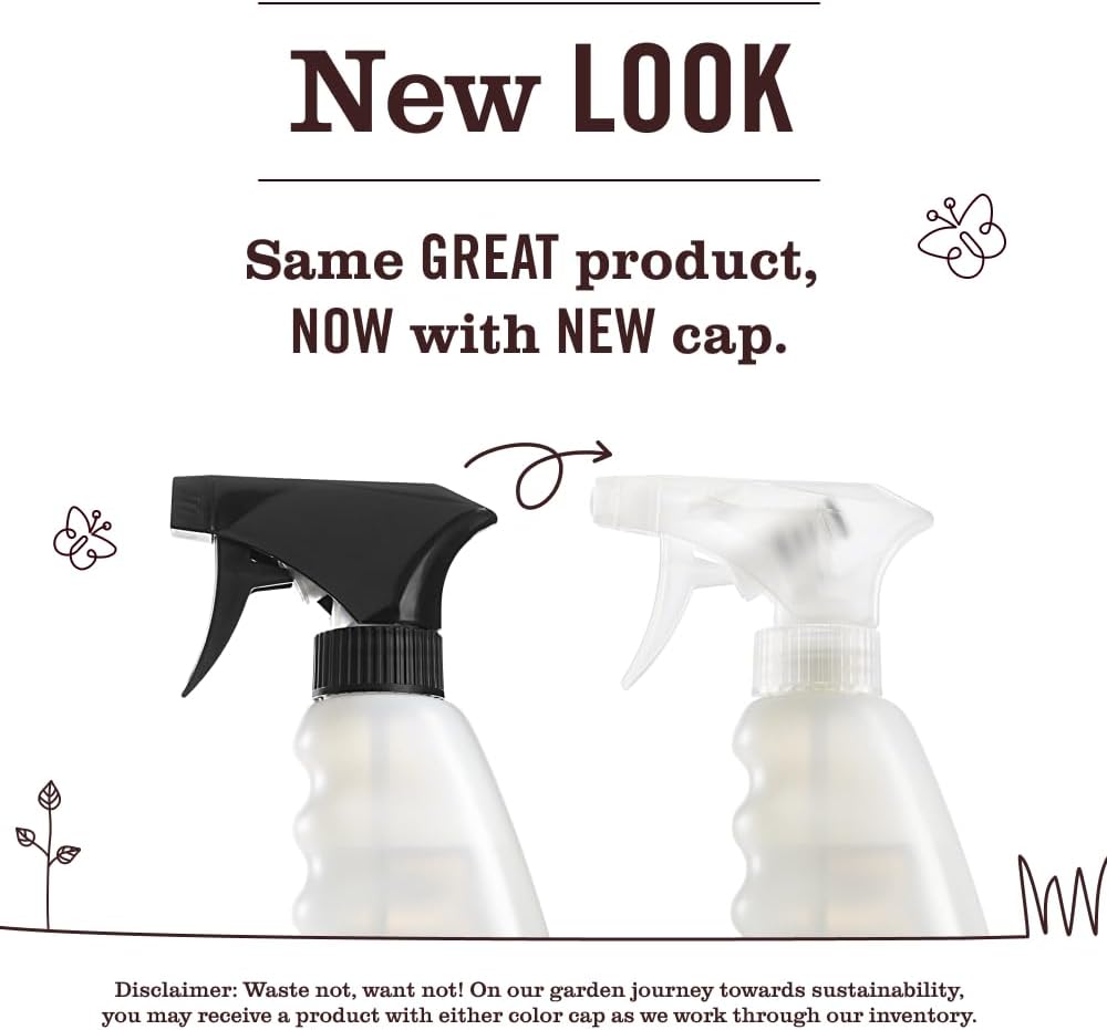 Mrs. MEYER'S CLEAN DAY Kitchen Set, Dish Soap, Hand Soap, Multi-Surface Cleaner, 3 CT (Rain Water)