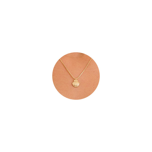 GUOKE Gold Seashell Necklace for Women – 14K Gold Plated Shell Pendant, Dainty Beach Necklace, Summer Minimalist Jewelry for Her