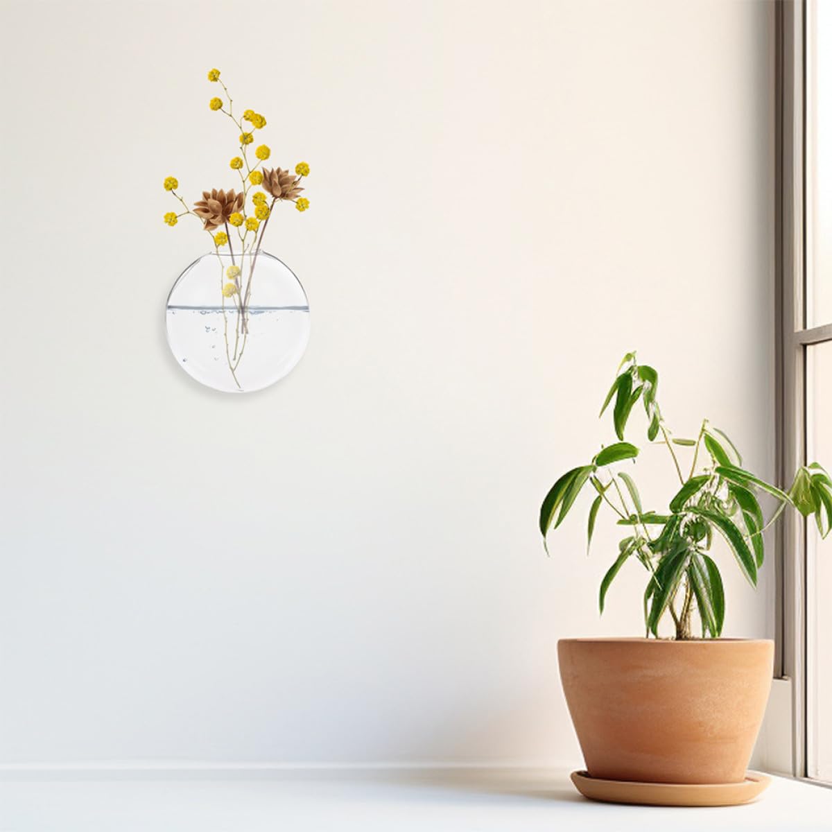 Toyvian 4pcs Wall Hanging Hydroponic Glass Plant Terrarium Vases Glass Wall-Mounted Flower Holders for Indoor Home Décor and Centerpiece
