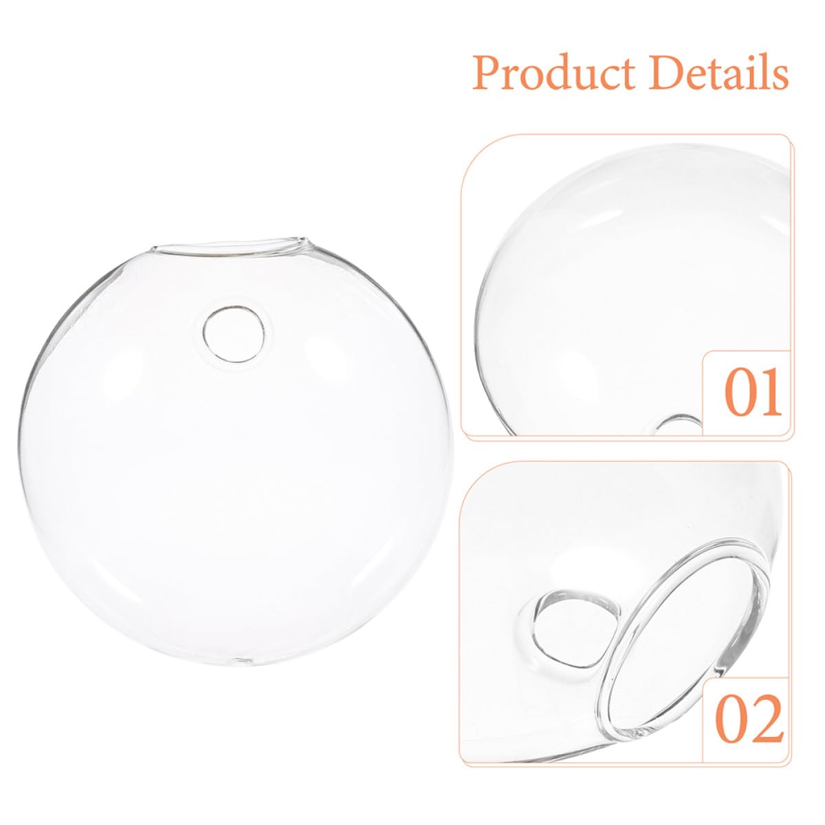 BESPORTBLE 4pcs Wall Mounted Glass Containers Hydroponic Plant Holders Glass Vases for Indoor Balcony Decor and Terrarium Display
