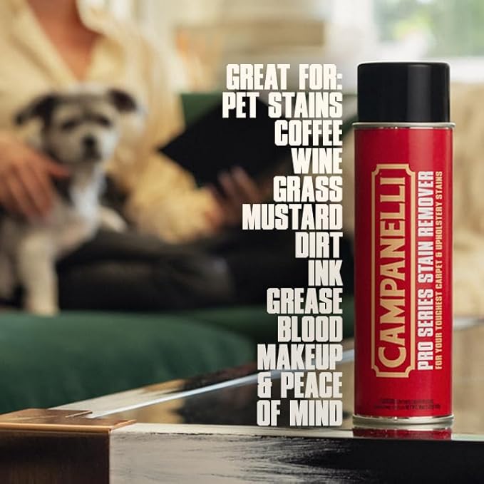 Campanelli Pro Series Stain Remover - 18oz Aerosol - Point & Spray Carpet Cleaner, Spot Remover, Great For Pet Stains & Odors, Upholstery, Fabrics, & More