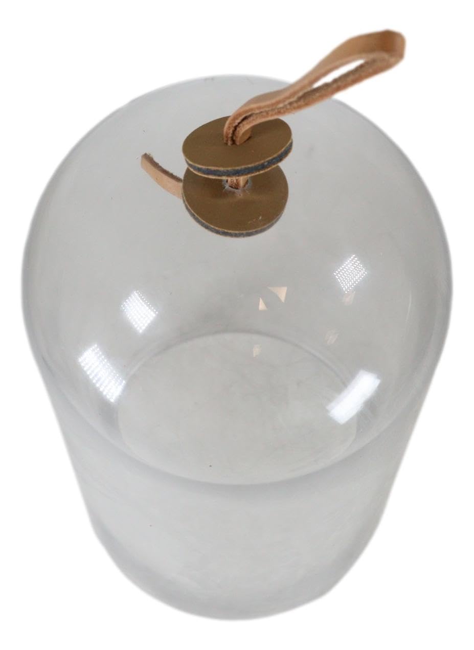 Ebros Gift Large 9.75" High Decorative Sleek Clear Glass Apothecary Cloche Bell Jar Centerpiece Dome Mouth Blown Glass Display Terrarium Case For Displaying Succulents Plants Sculpture Decors