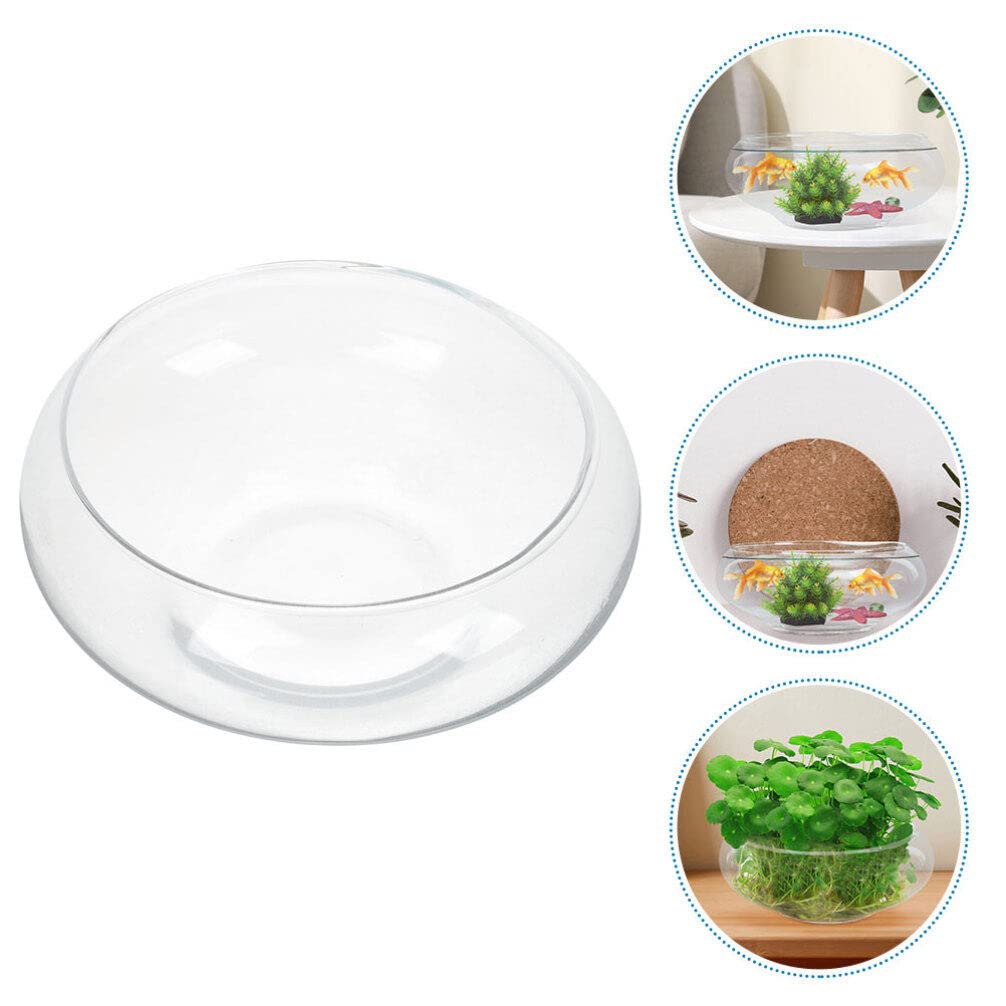 Glass Bubble Bowl - Wide Mouth Flower Vase Clear Bubble Planter Terrarium Aquatic Plant Pot Shallow Fish Tank for Centerpiece Hydroponic Succulent