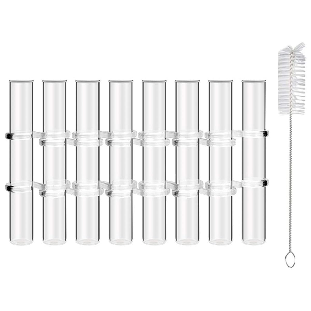 ibasenice Glass Test Tube Vases Set of 8 Large Hydroponic Propagation Tubes with Cleaning Brush for Indoor Plant Holder and Succulent Terrarium Home Décor