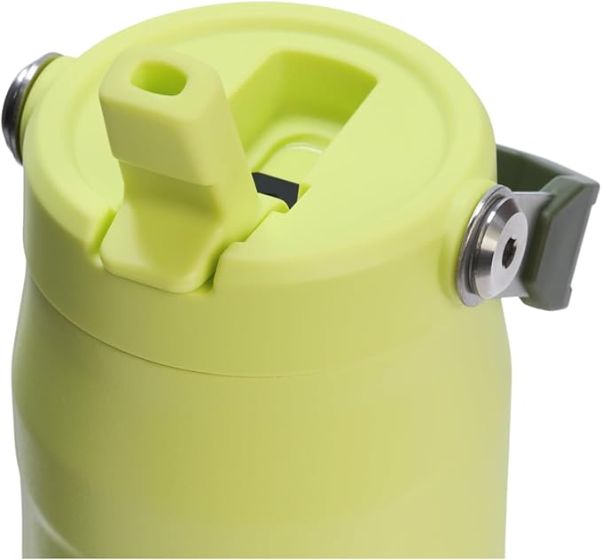 Stanley IceFlow Flip Straw 2.0 Water Bottle 24 oz | Built-In Straw for Travel and Sports | Lightweight and Leak Resistant | Insulated Stainless Steel | BPA-Free | Prickly Pear