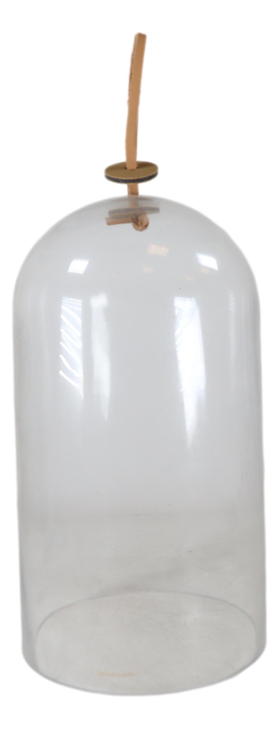 Ebros Gift Large 9.75" High Decorative Sleek Clear Glass Apothecary Cloche Bell Jar Centerpiece Dome Mouth Blown Glass Display Terrarium Case For Displaying Succulents Plants Sculpture Decors