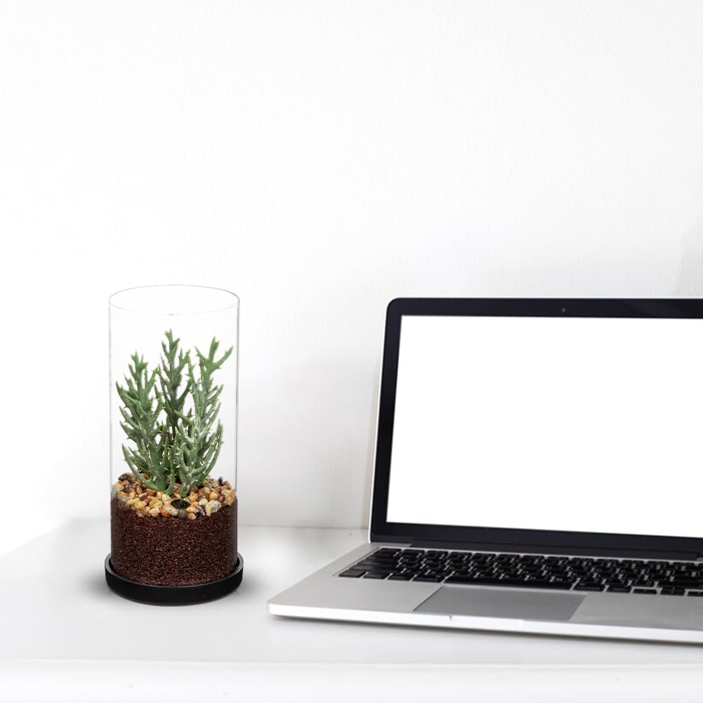 GnFlus Artificial Succulent in Cylindrical Glass Vase Small Fake Senecio Plant with Modern Glass Terrarium Faux Plants Indoor Gift for Plant Lover Decor for Home Office Table Desk Shelf